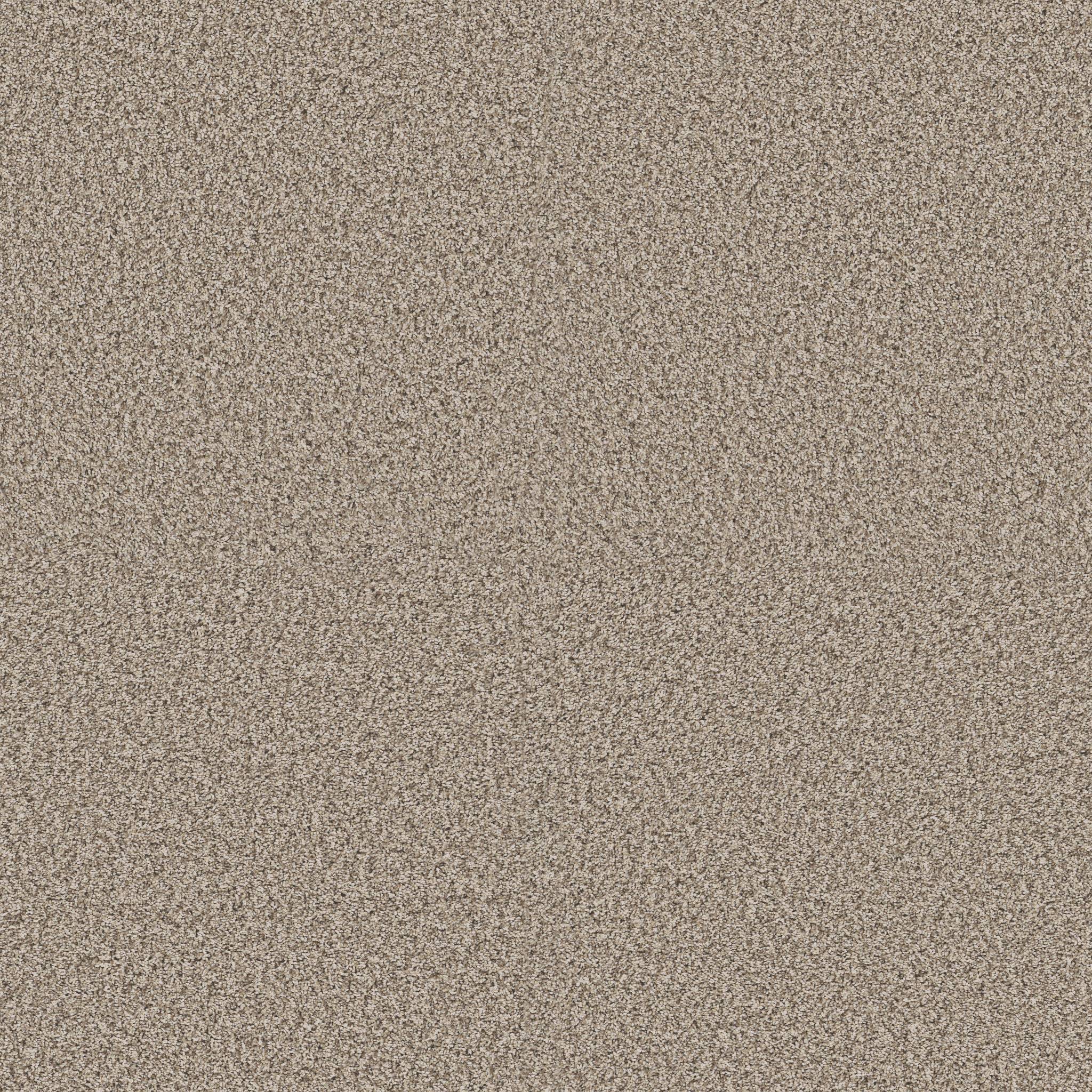 Affirmative I Carpet - Natural Zoomed Swatch Image