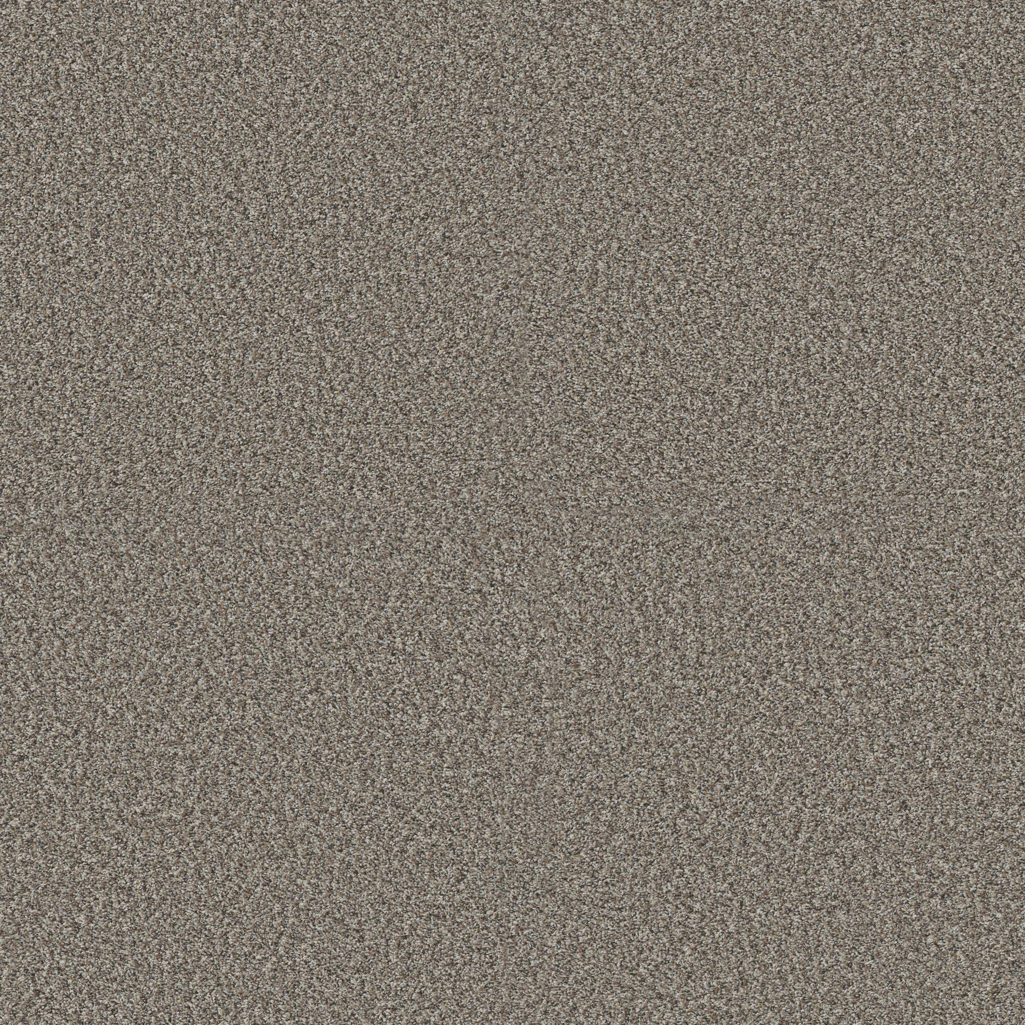 Affirmative I Carpet - Chic Greige Zoomed Swatch Image
