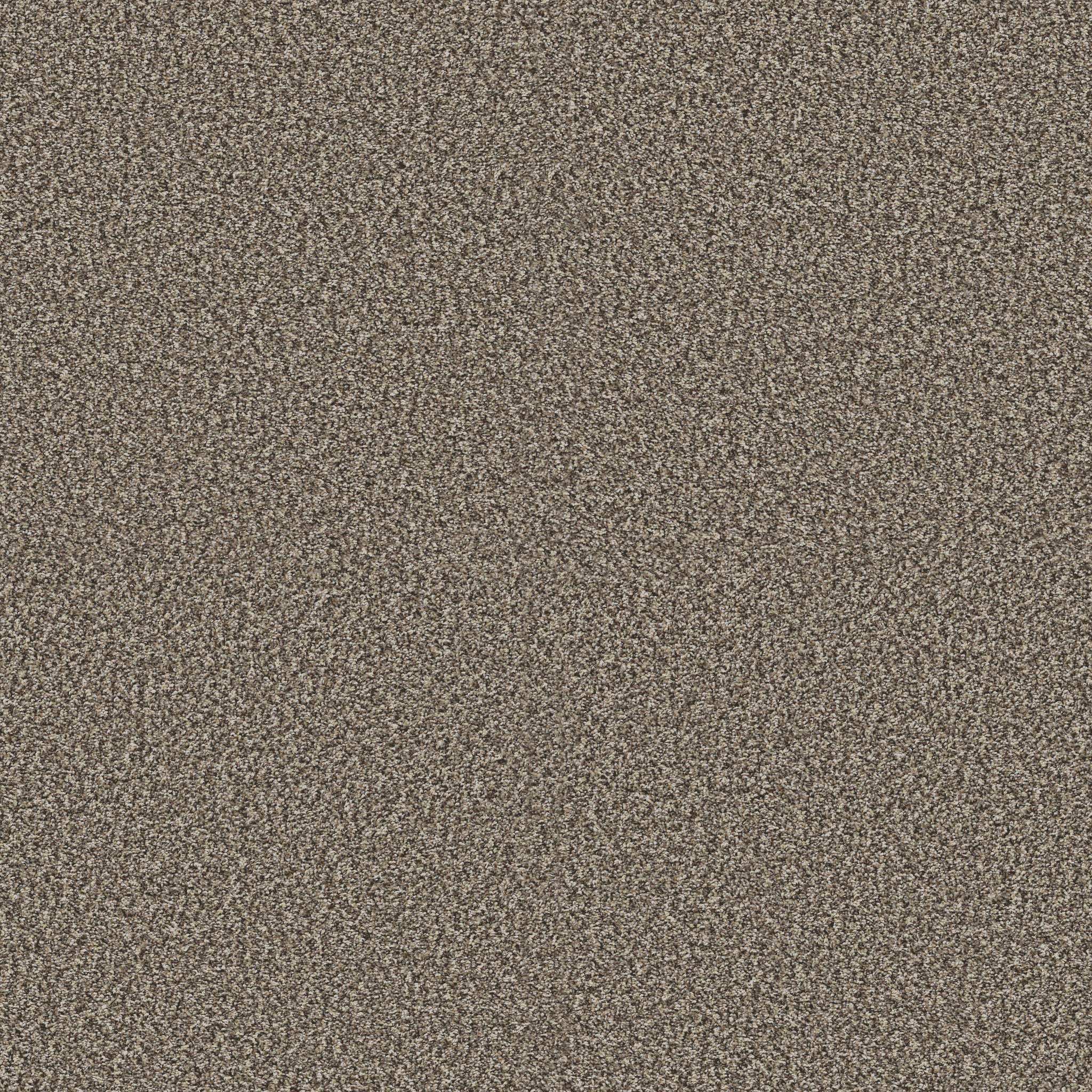 Affirmative I Carpet - Soft Sense Zoomed Swatch Image