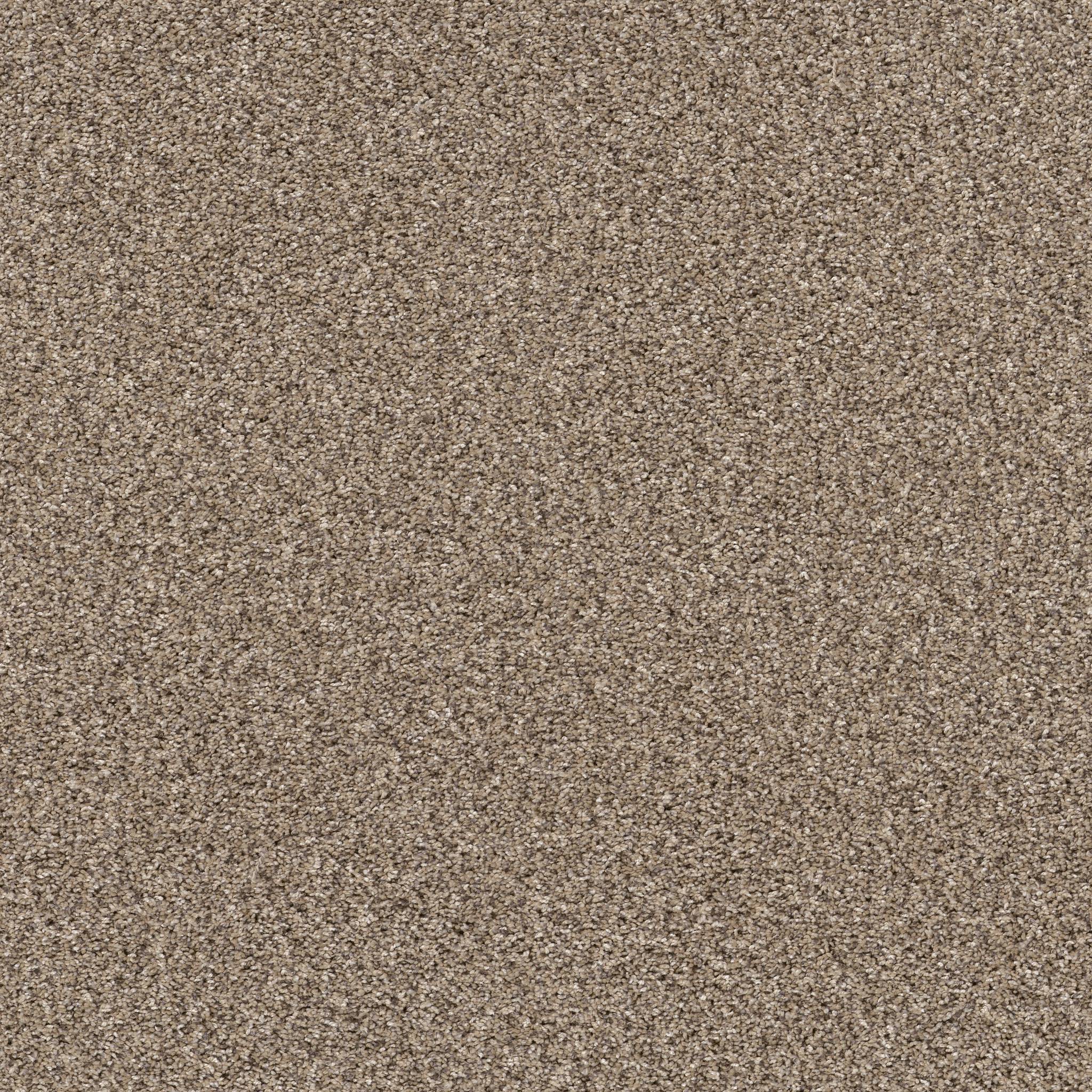 Affirmative II Carpet - Sea Shell Zoomed Swatch Image