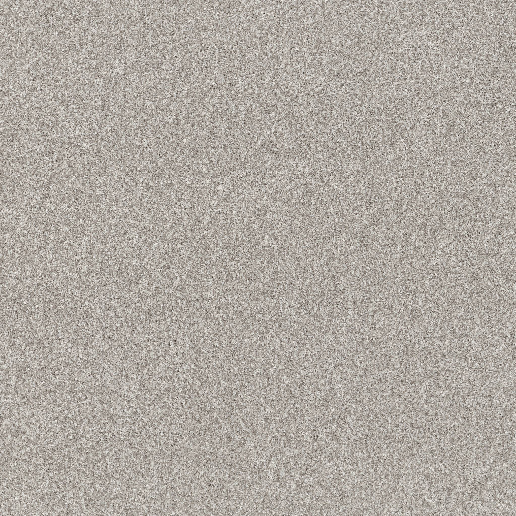 Affirmative II Carpet - Frozen Zoomed Swatch Image