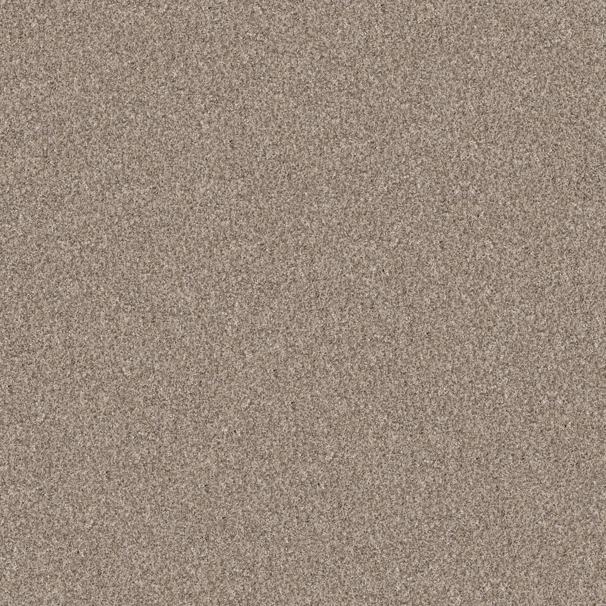 Affirmative II Carpet - Natural Zoomed Swatch Image