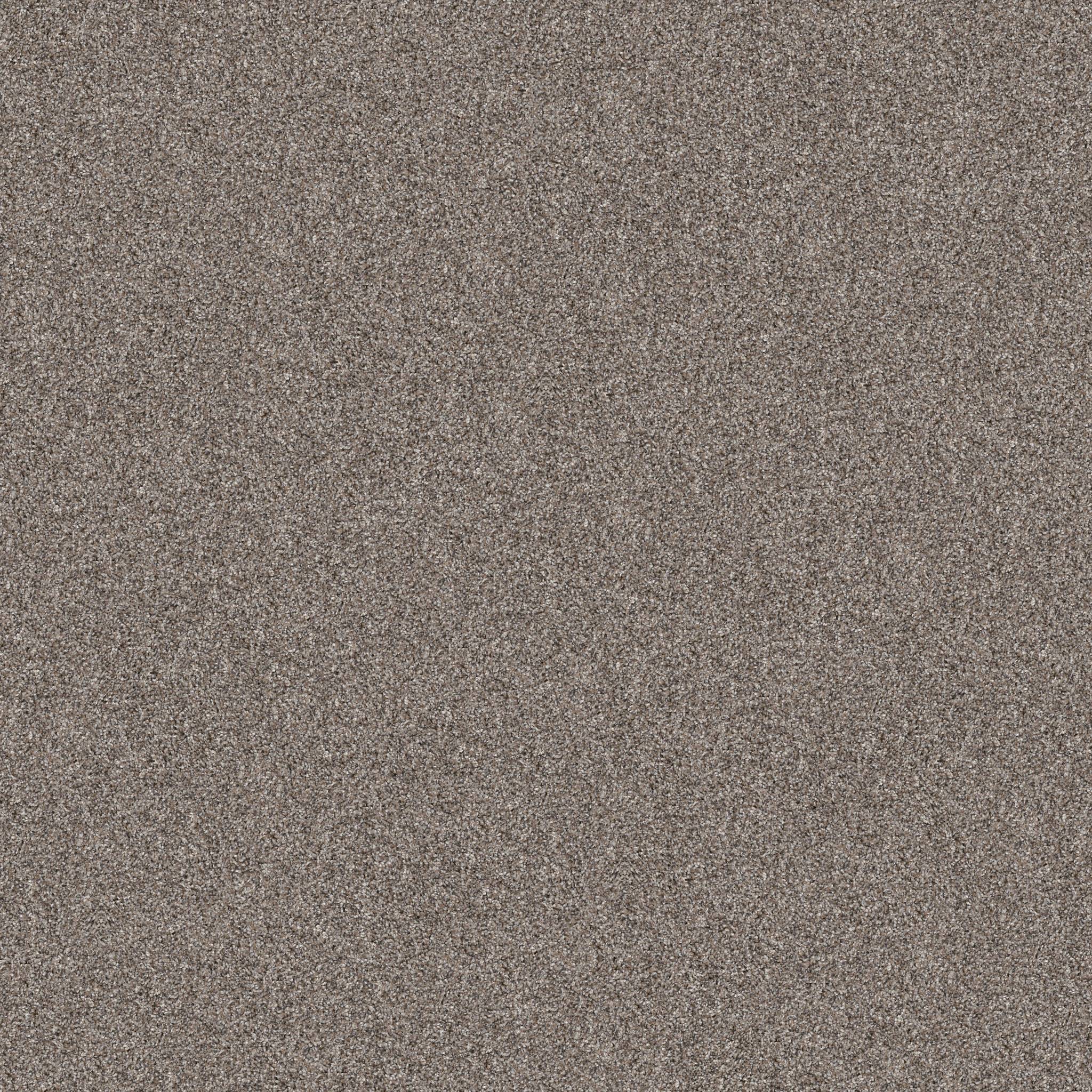 Affirmative II Carpet - Chic Greige Zoomed Swatch Image