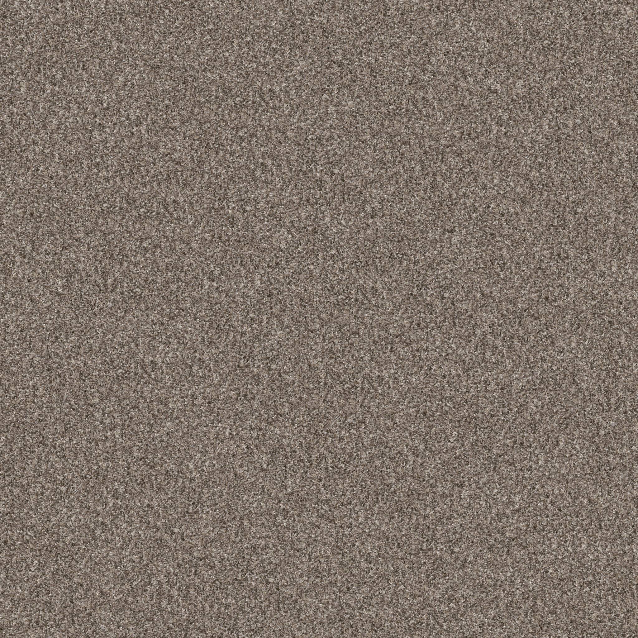 Affirmative II Carpet - Soft Sense Zoomed Swatch Image