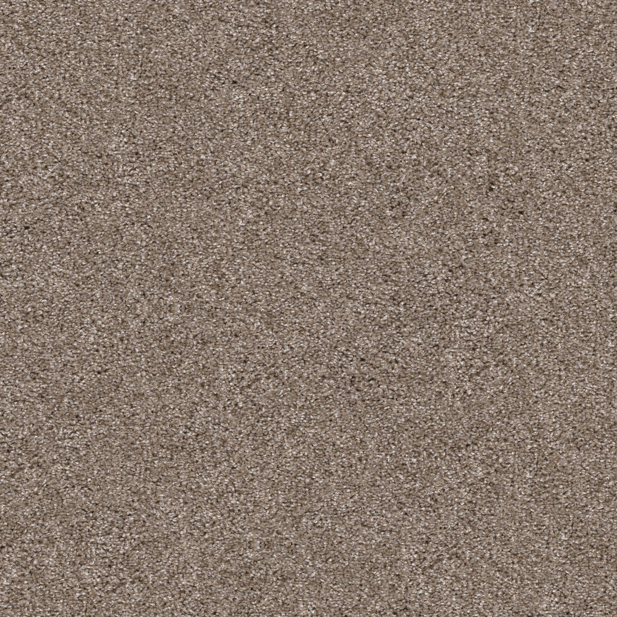 Affirmative II Carpet - Cameo Zoomed Swatch Image