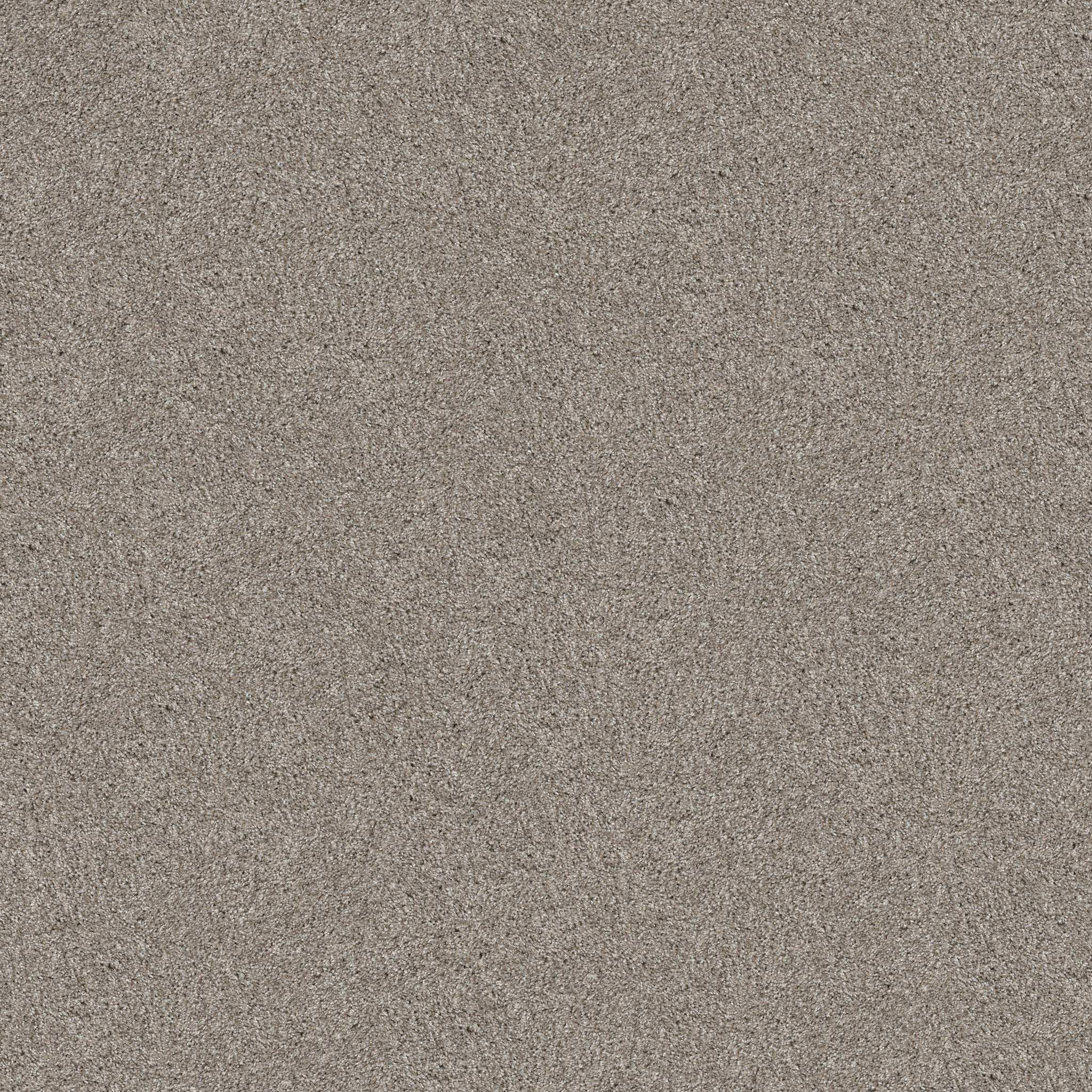 Affirmative II Carpet - Sculpture Zoomed Swatch Image