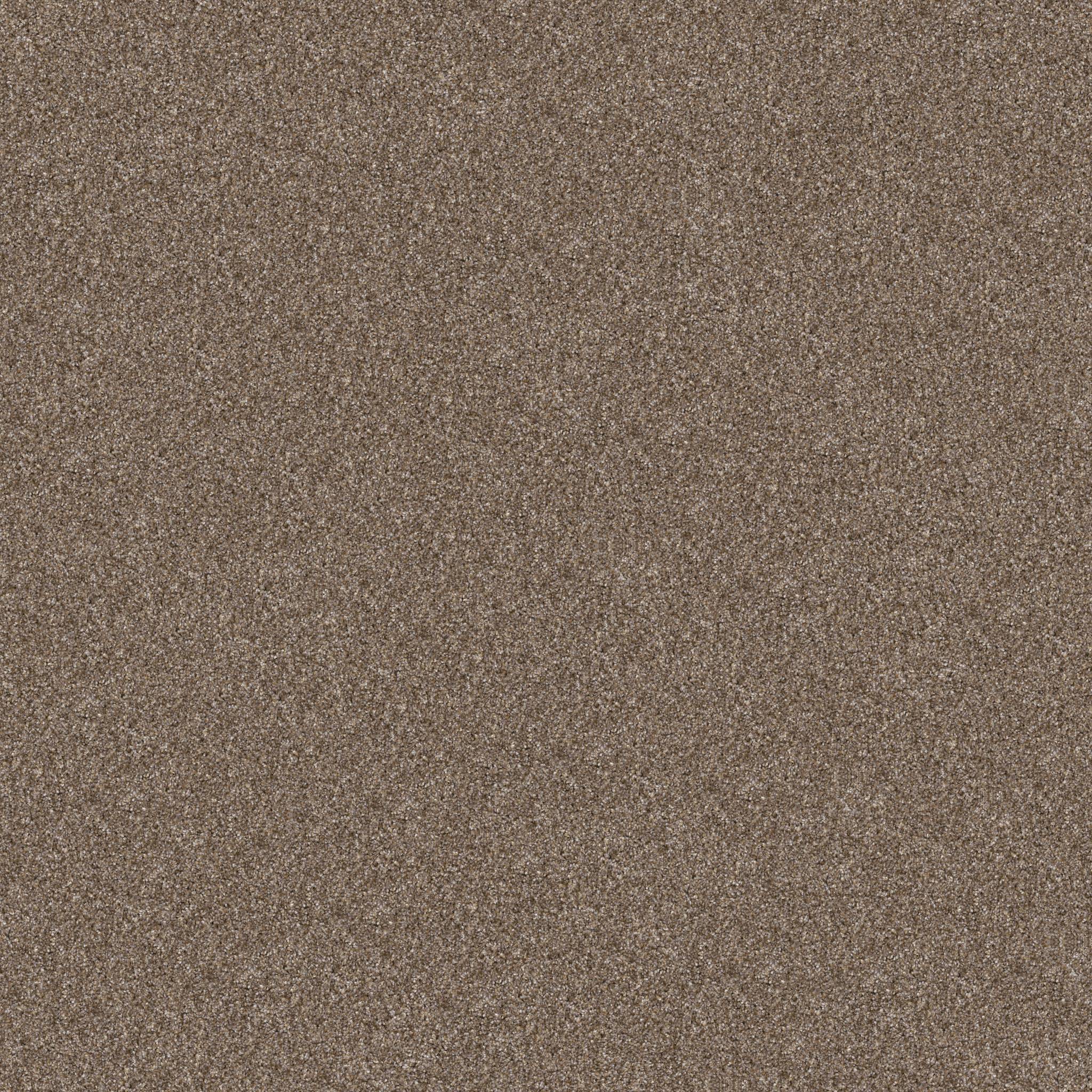 Affirmative II Carpet - Honeycomb Zoomed Swatch Image