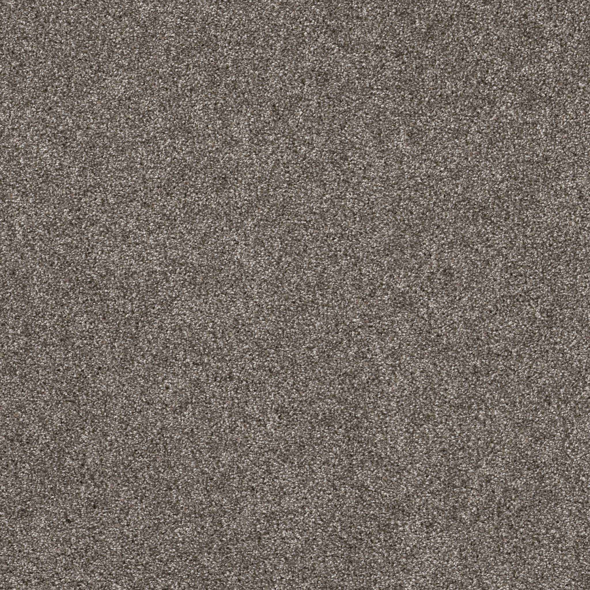 Affirmative II Carpet - Ashes Zoomed Swatch Image