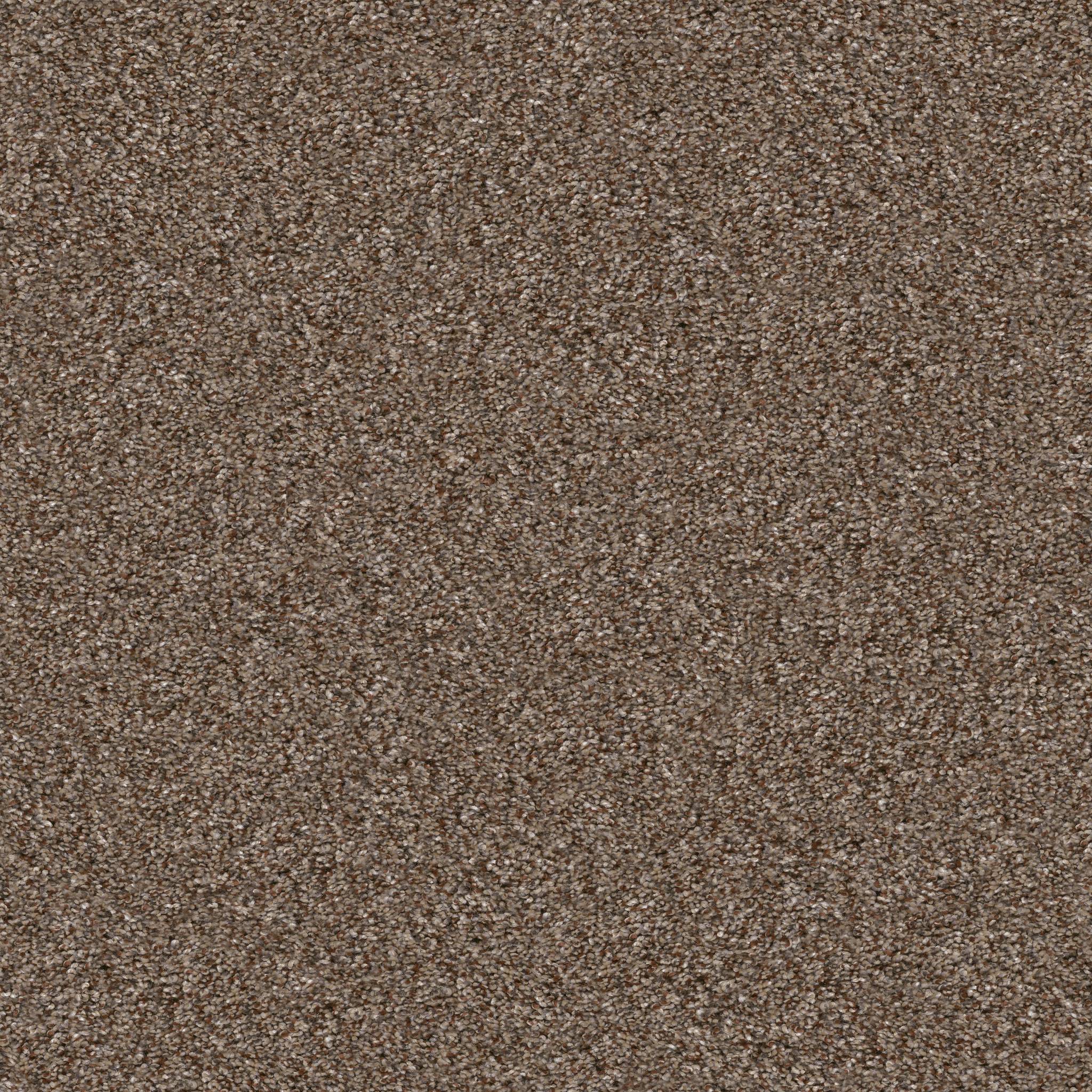 Affirmative II Carpet - Worn Path Zoomed Swatch Image