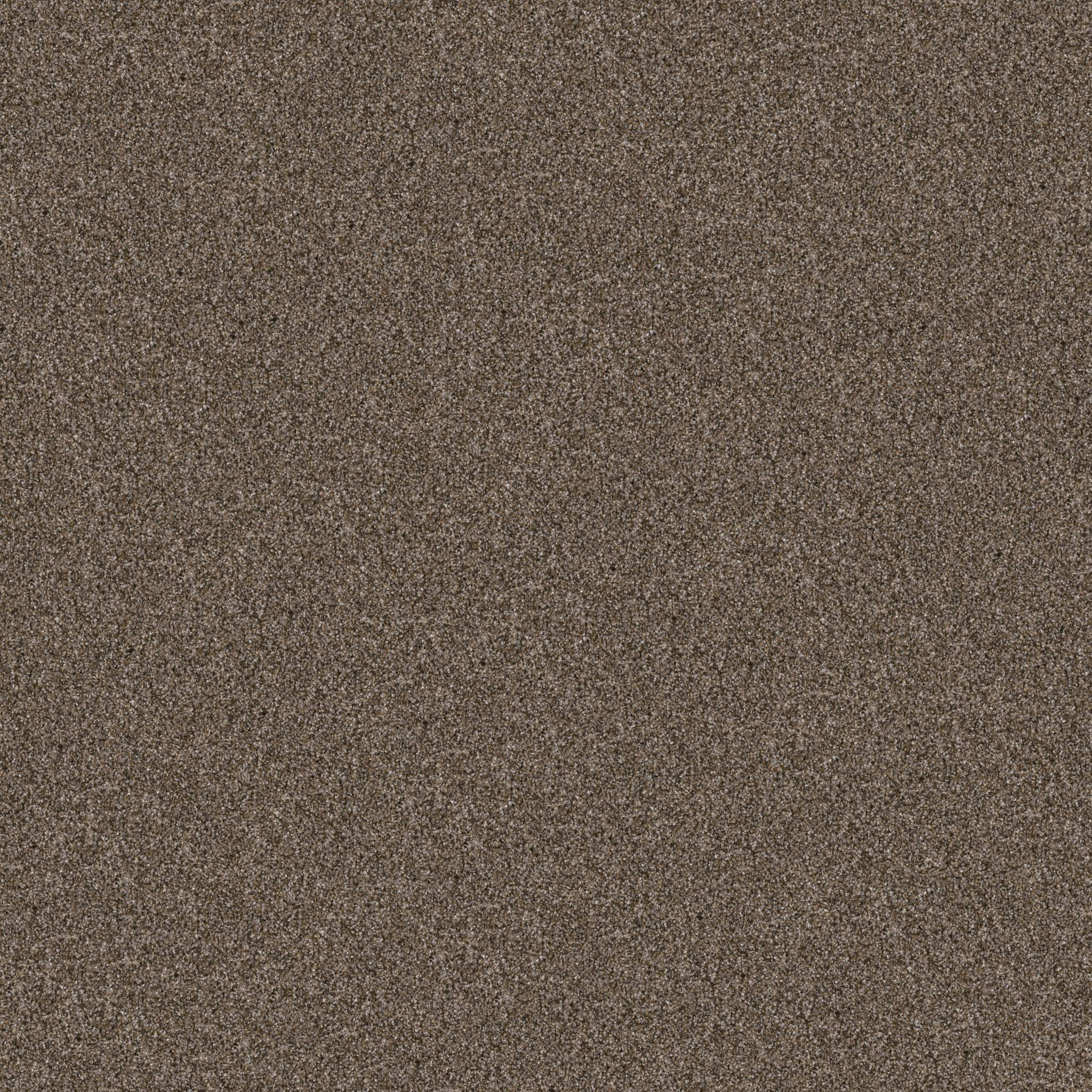 Affirmative II Carpet - Mission Ridge Zoomed Swatch Image