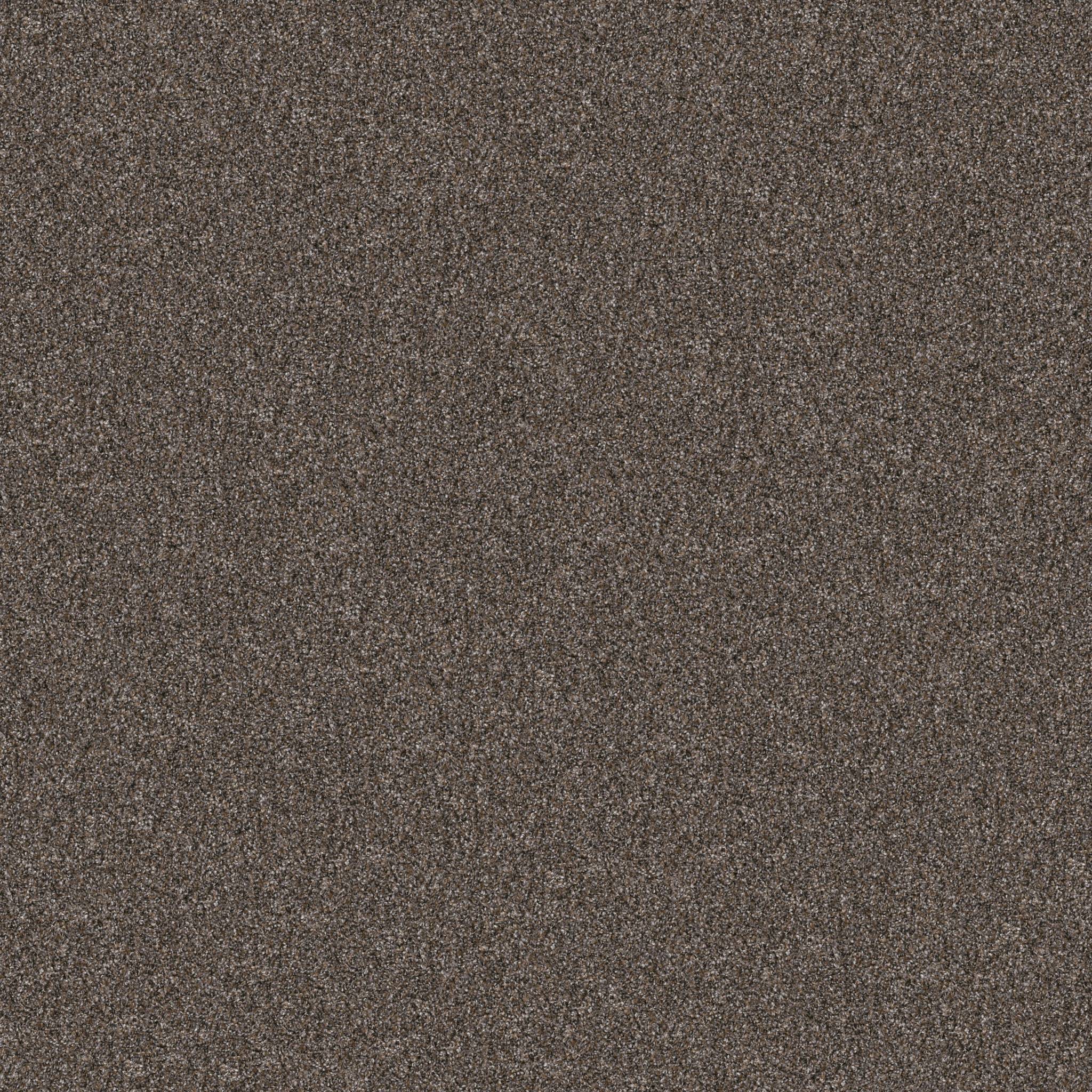 Affirmative II Carpet - Cafe Noir Zoomed Swatch Image