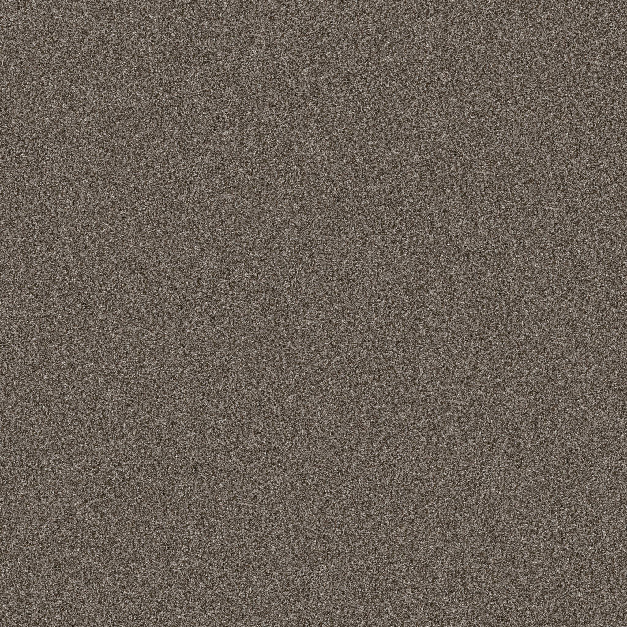 Affirmative II Carpet - Urban Rustic Zoomed Swatch Image