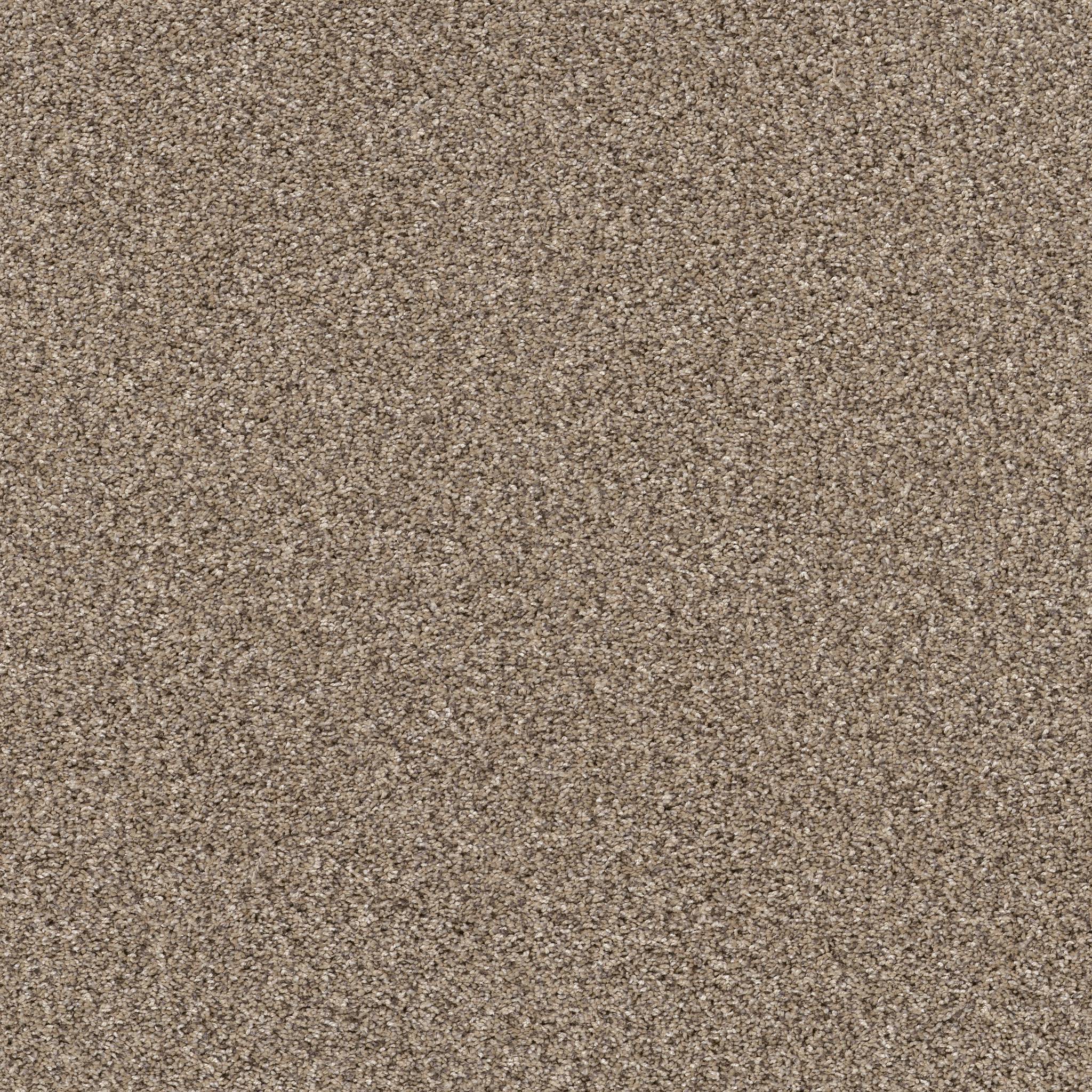 Affirmative III Carpet - Sea Shell Zoomed Swatch Image
