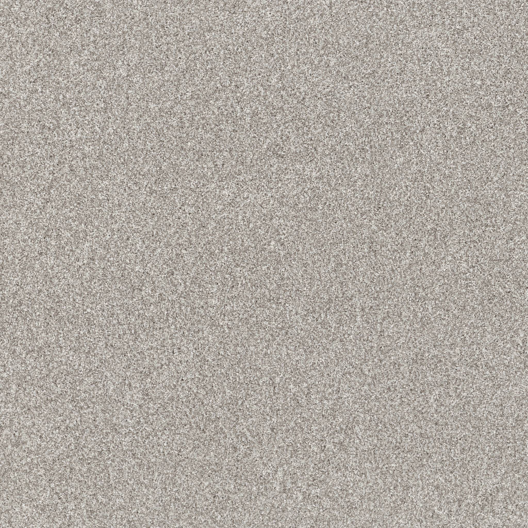 Affirmative III Carpet - Frozen Zoomed Swatch Image