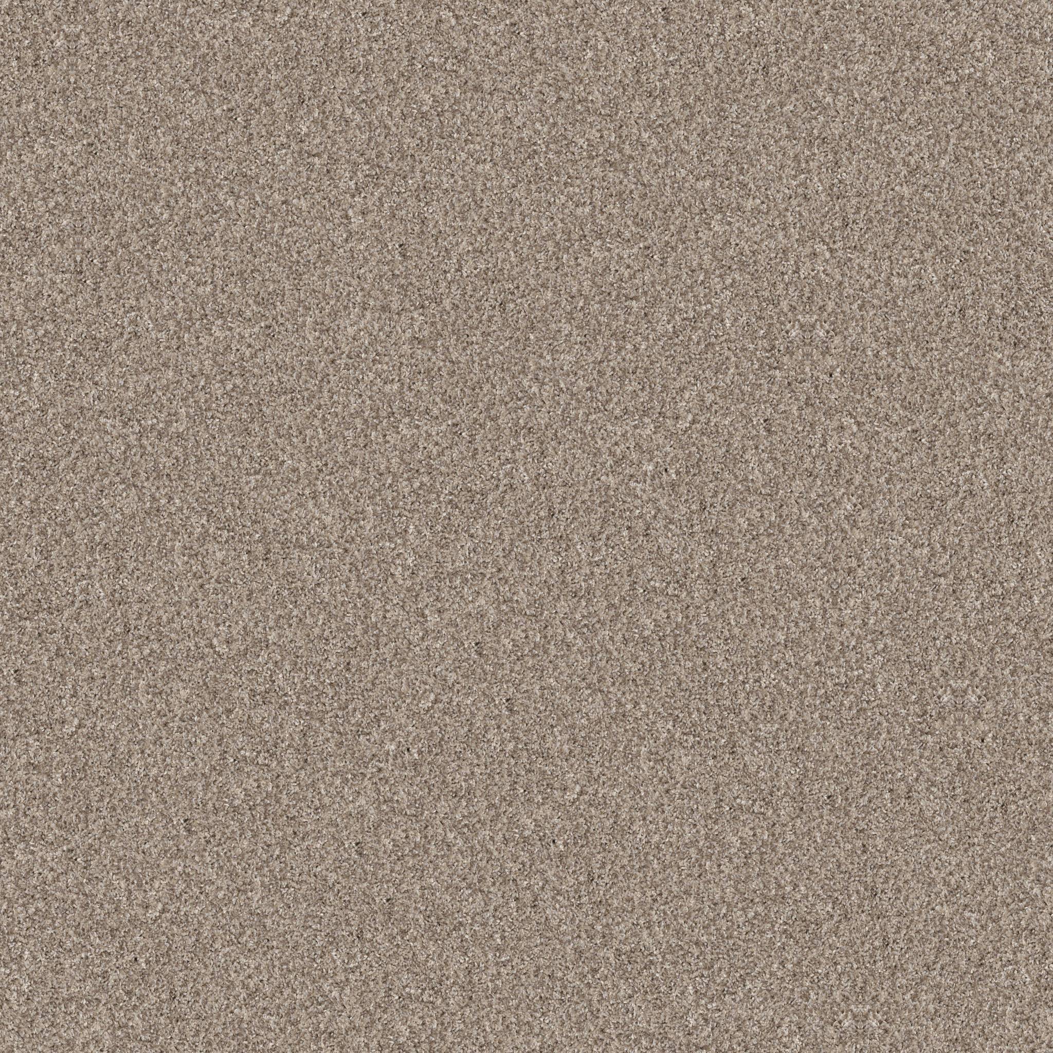Affirmative III Carpet - Natural Zoomed Swatch Image