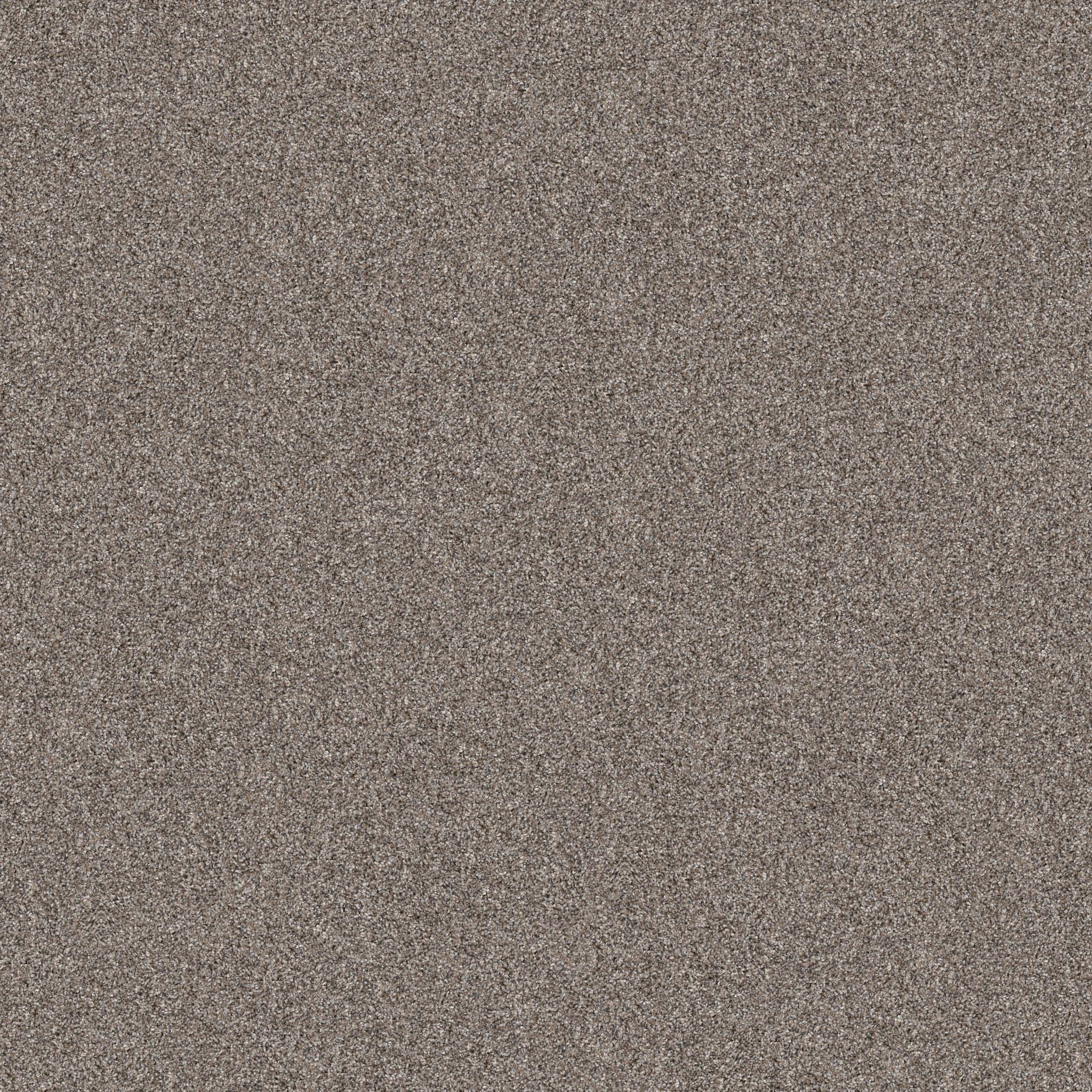 Affirmative III Carpet - Chic Greige Zoomed Swatch Image