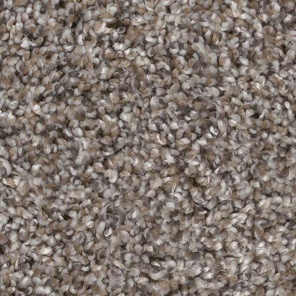 Style Affirmative III Carpet - Chic Greige Swatch