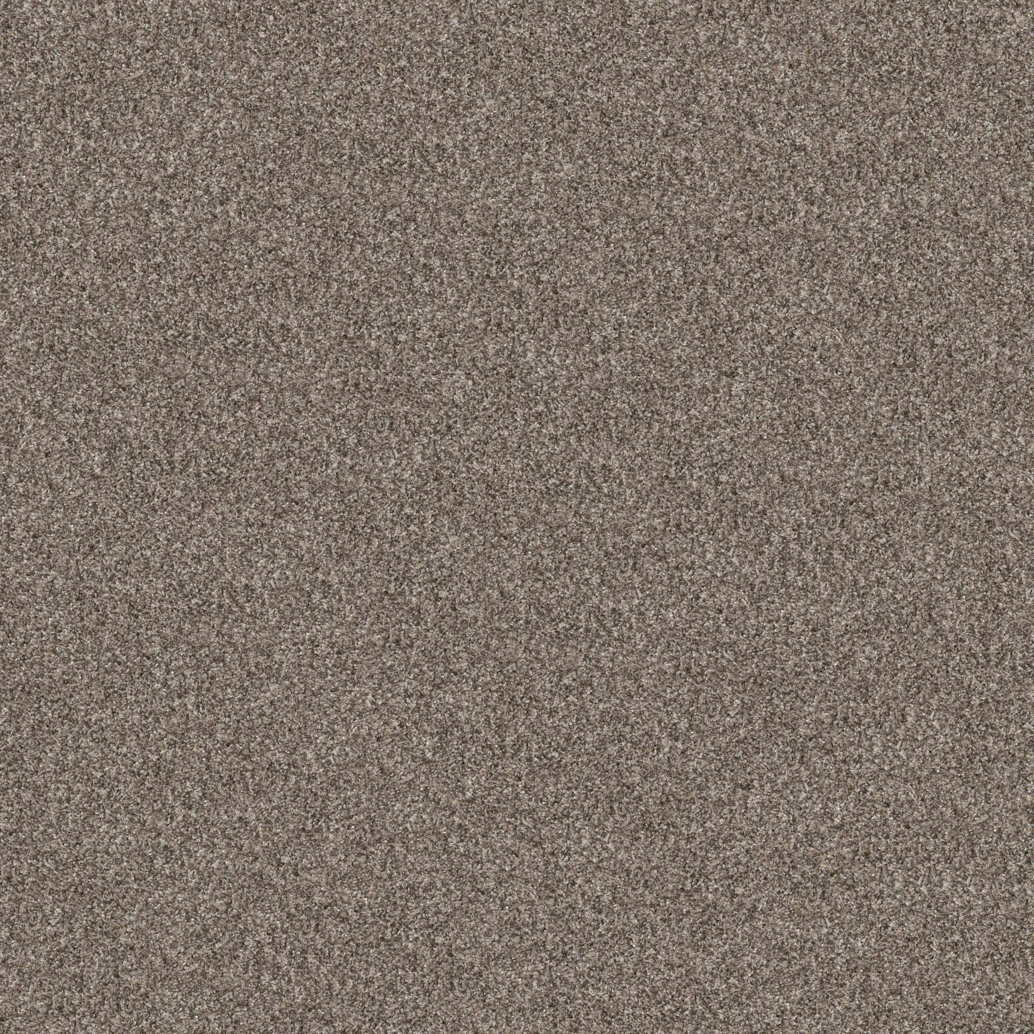 Affirmative III Carpet - Soft Sense Zoomed Swatch Image