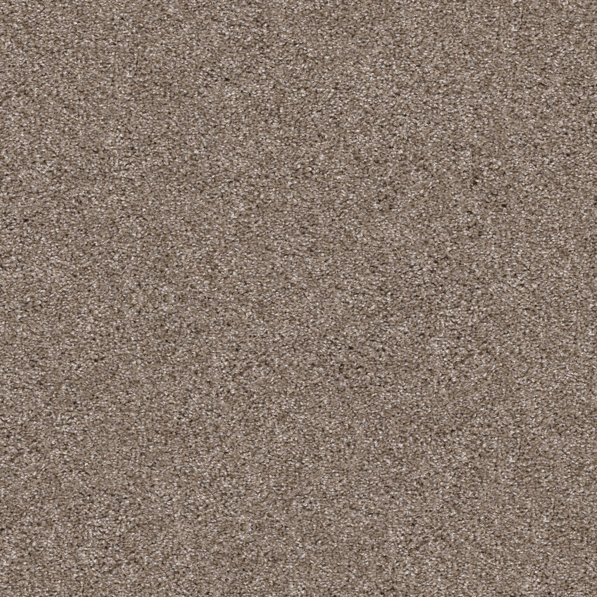 Affirmative III Carpet - Cameo Zoomed Swatch Image