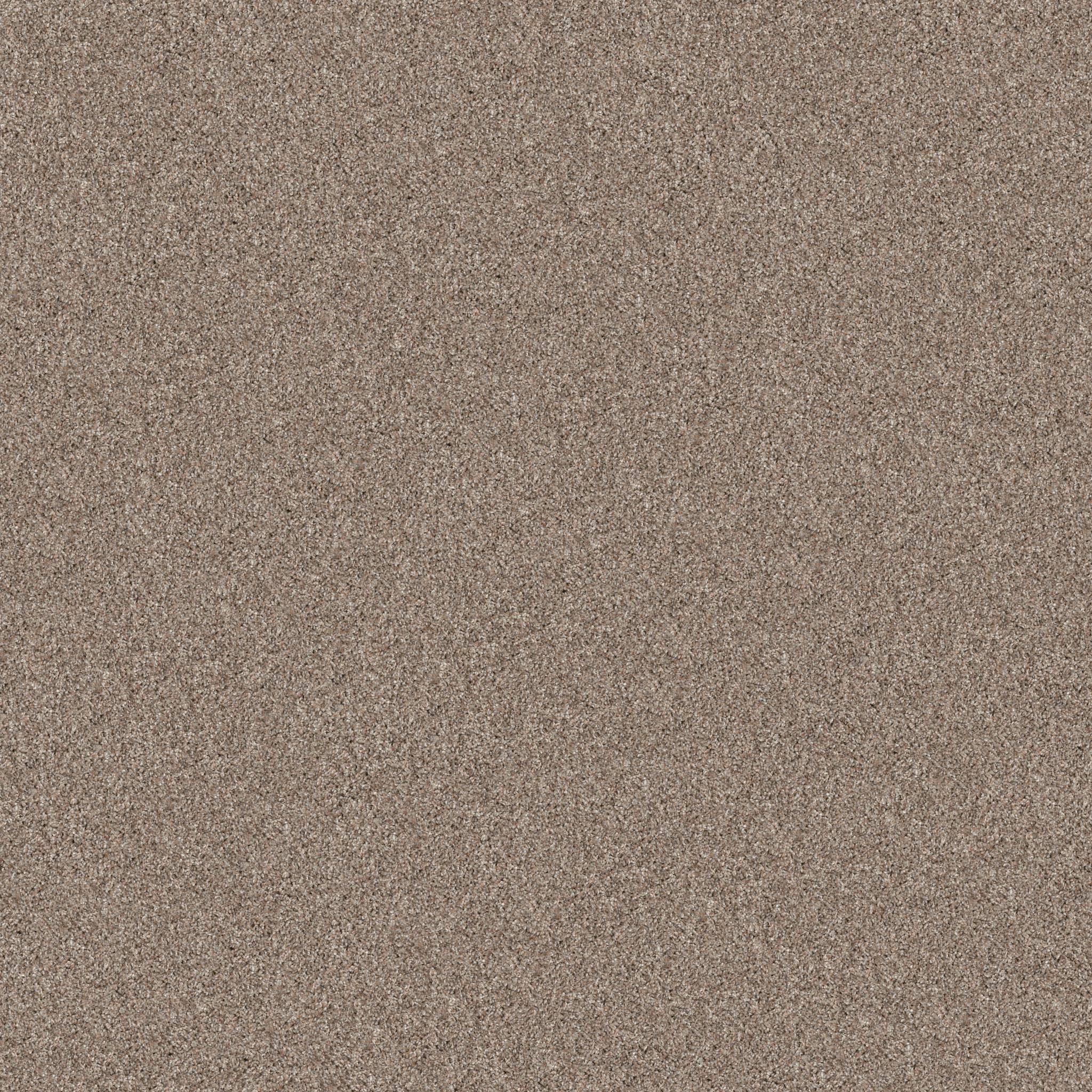 Affirmative III Carpet - Subtle Clay Zoomed Swatch Image