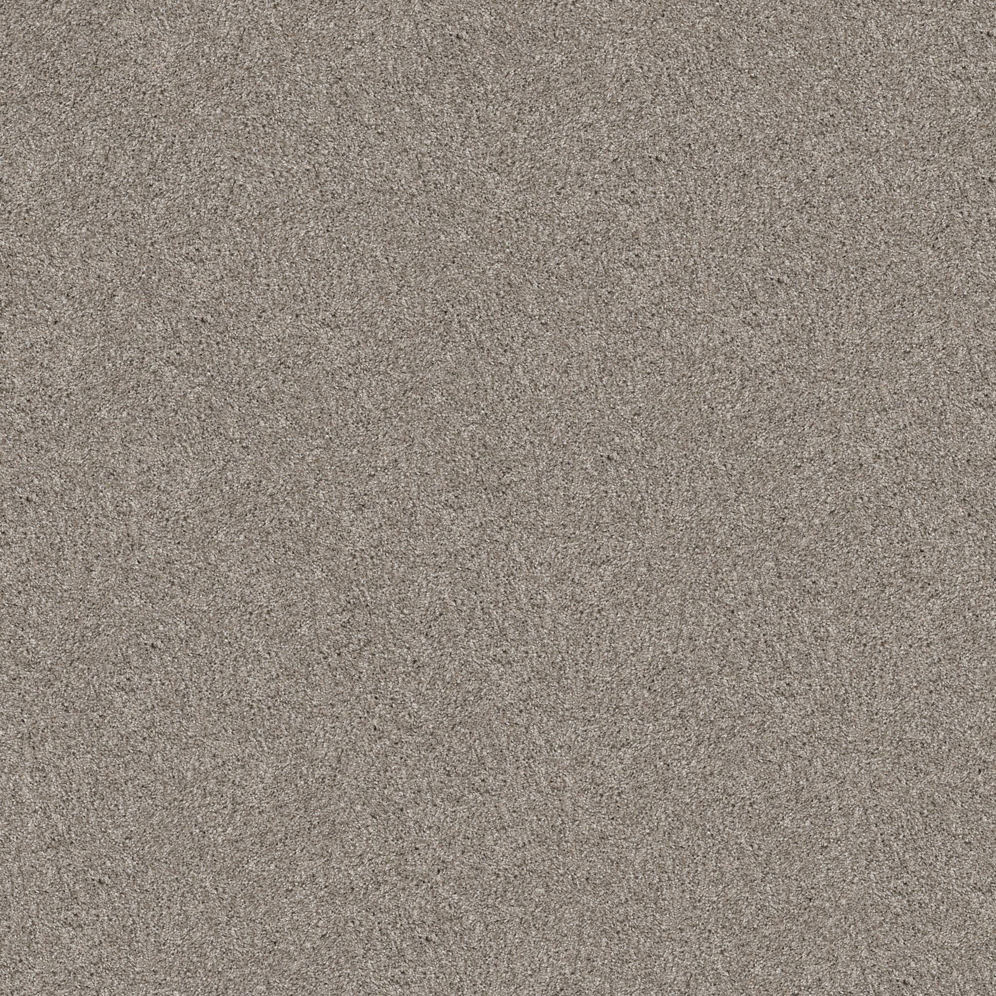 Affirmative III Carpet - Sculpture Zoomed Swatch Image