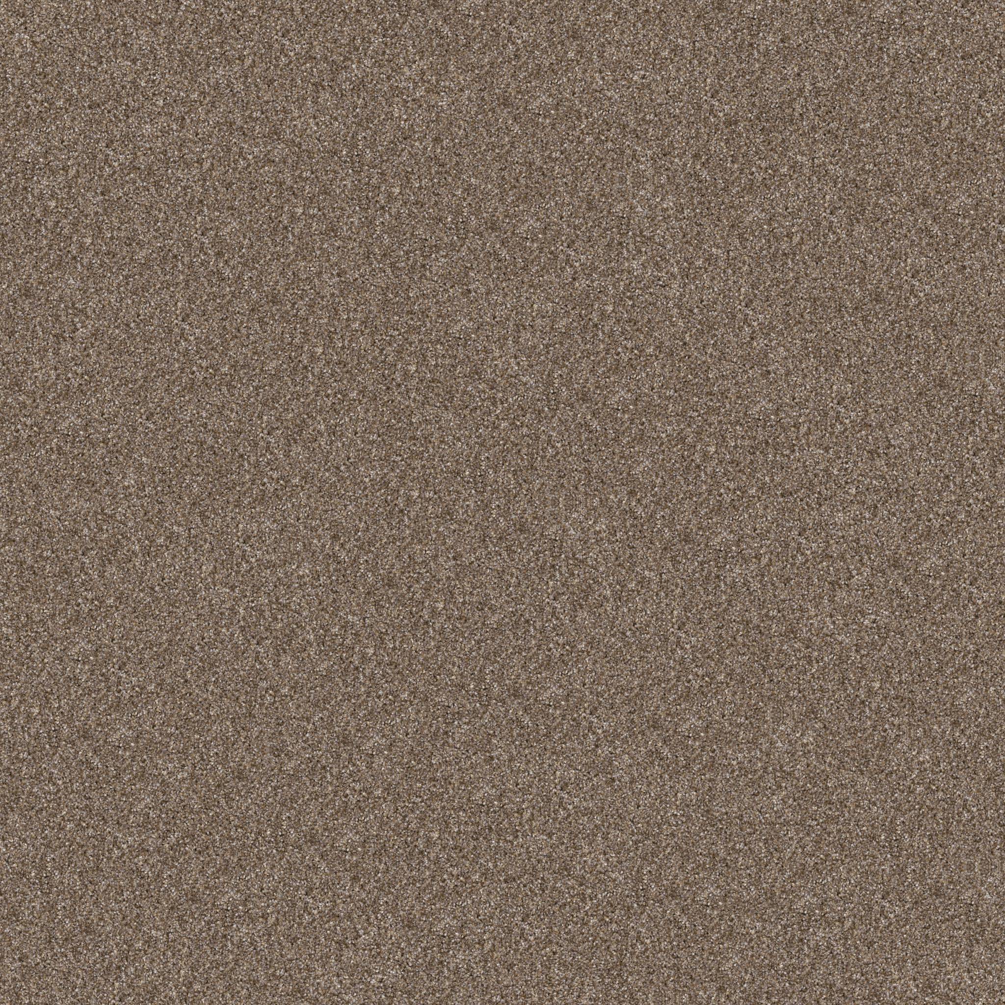 Affirmative III Carpet - Honeycomb Zoomed Swatch Image