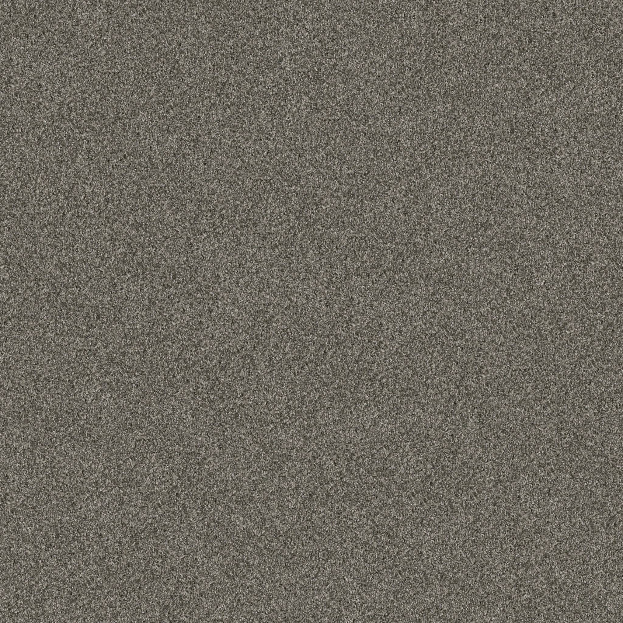 Affirmative III Carpet - Rerooted Nature Zoomed Swatch Image