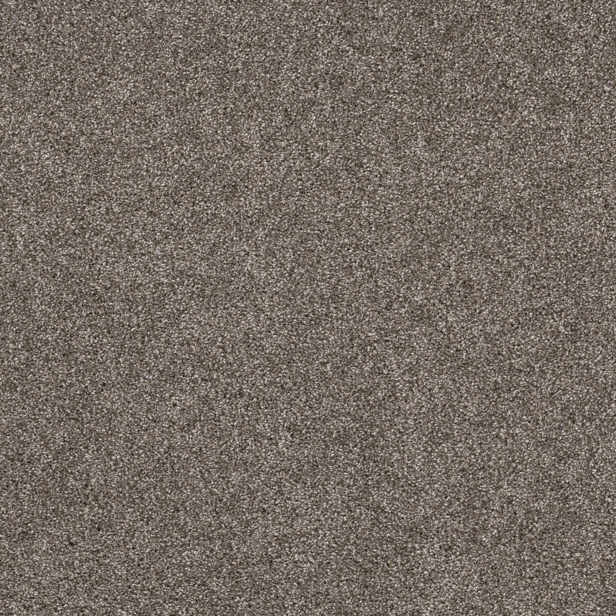 Affirmative III Carpet - Ashes Zoomed Swatch Image