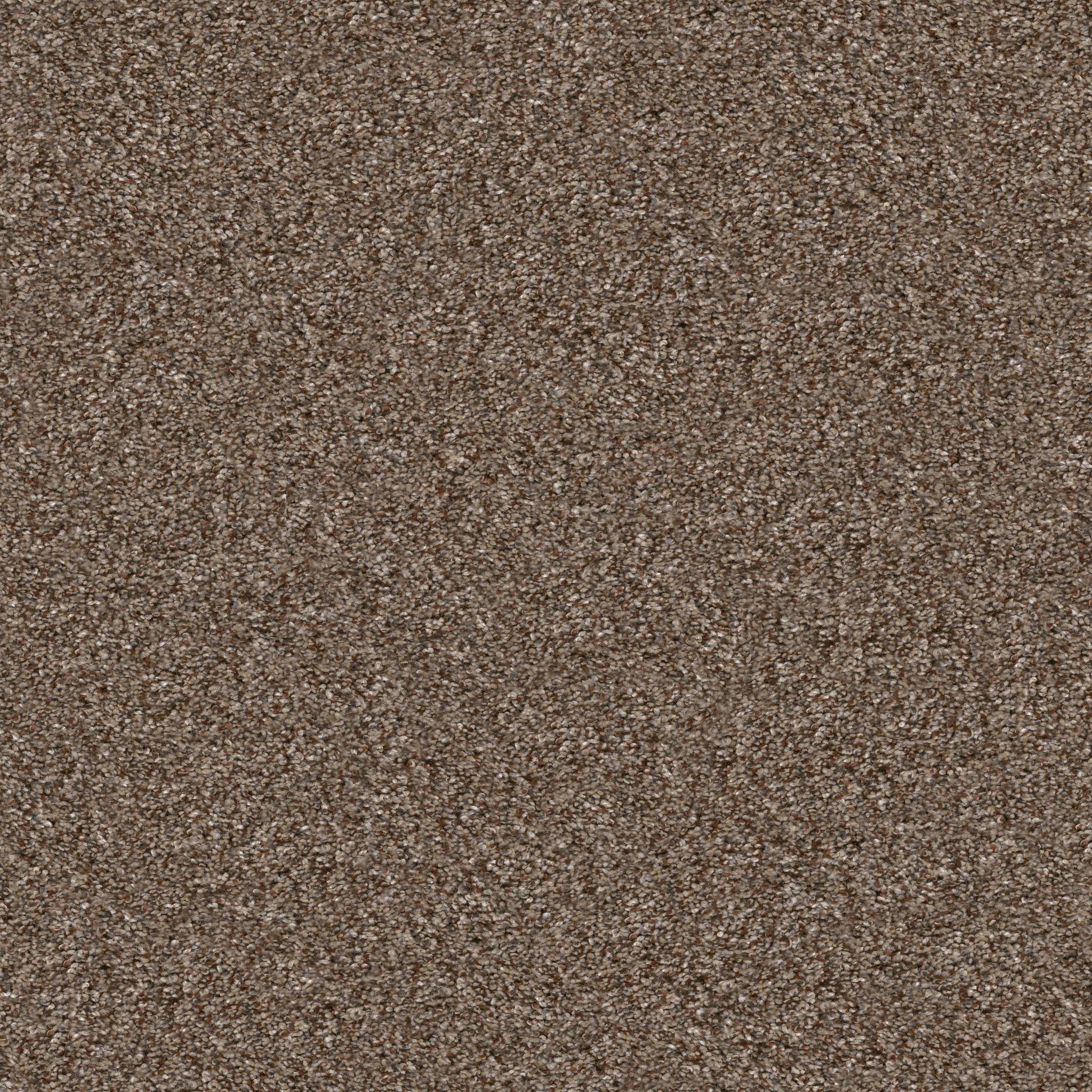 Affirmative III Carpet - Worn Path Zoomed Swatch Image