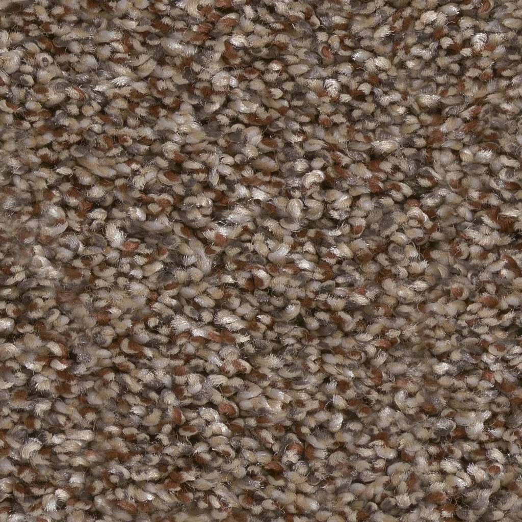 Affirmative III Carpet - Worn Path  Swatch Image 