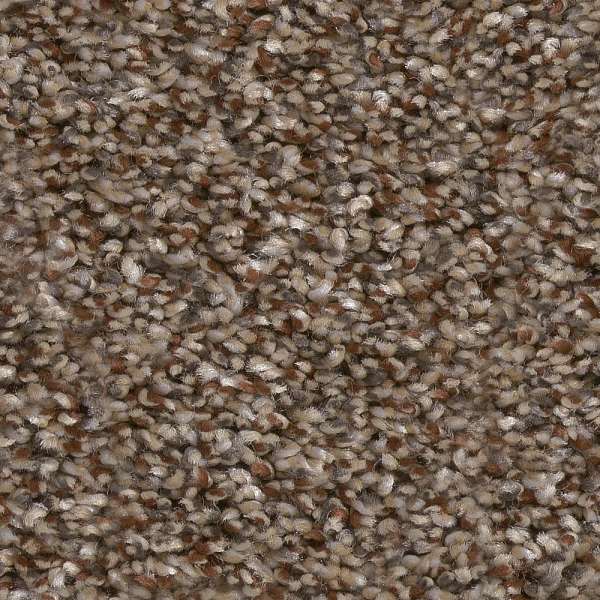 Style Affirmative III Carpet - Worn Path Swatch