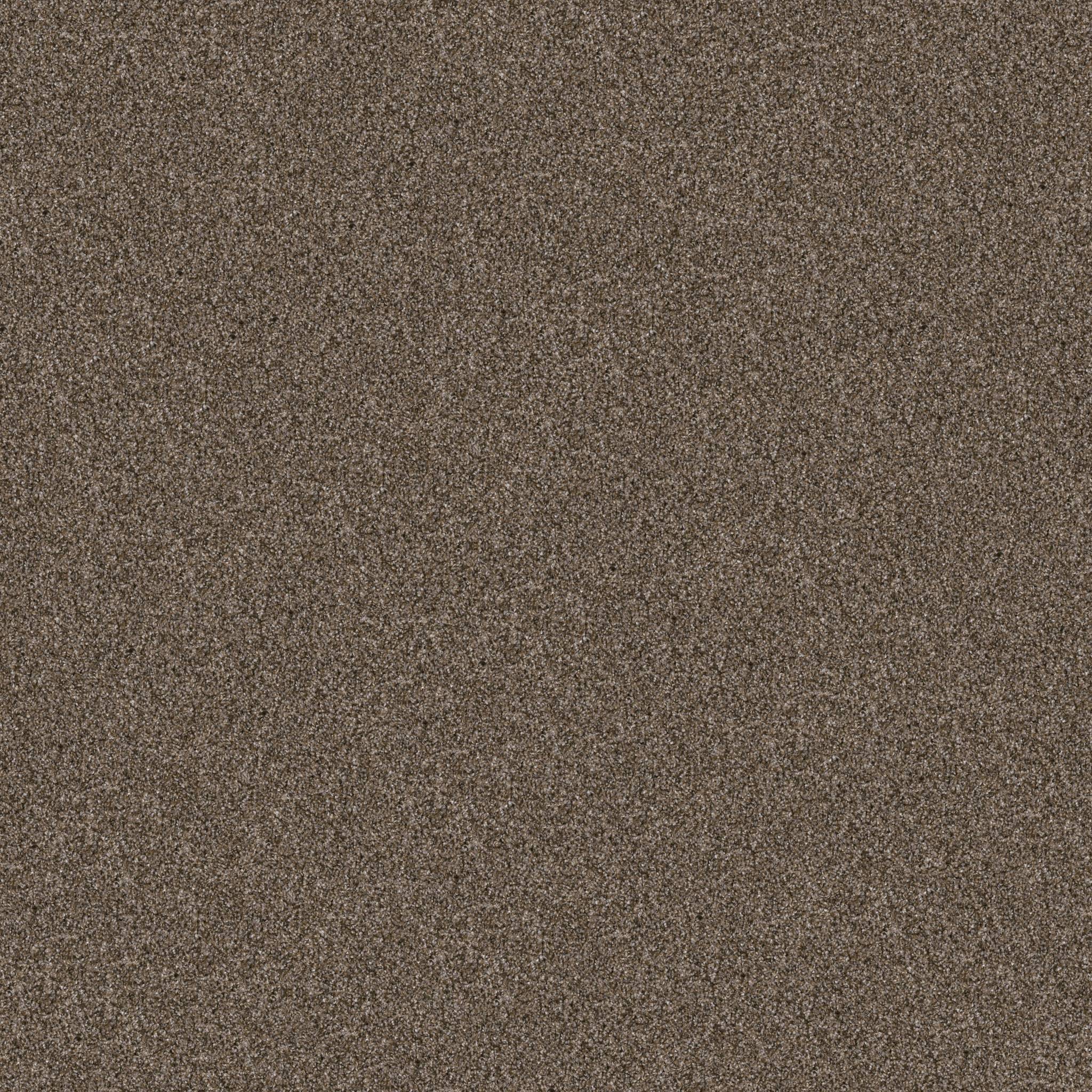 Affirmative III Carpet - Mission Ridge Zoomed Swatch Image