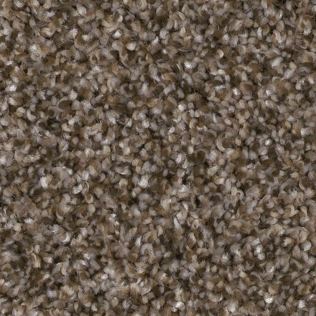 Affirmative III Carpet - Mission Ridge  Swatch Image 