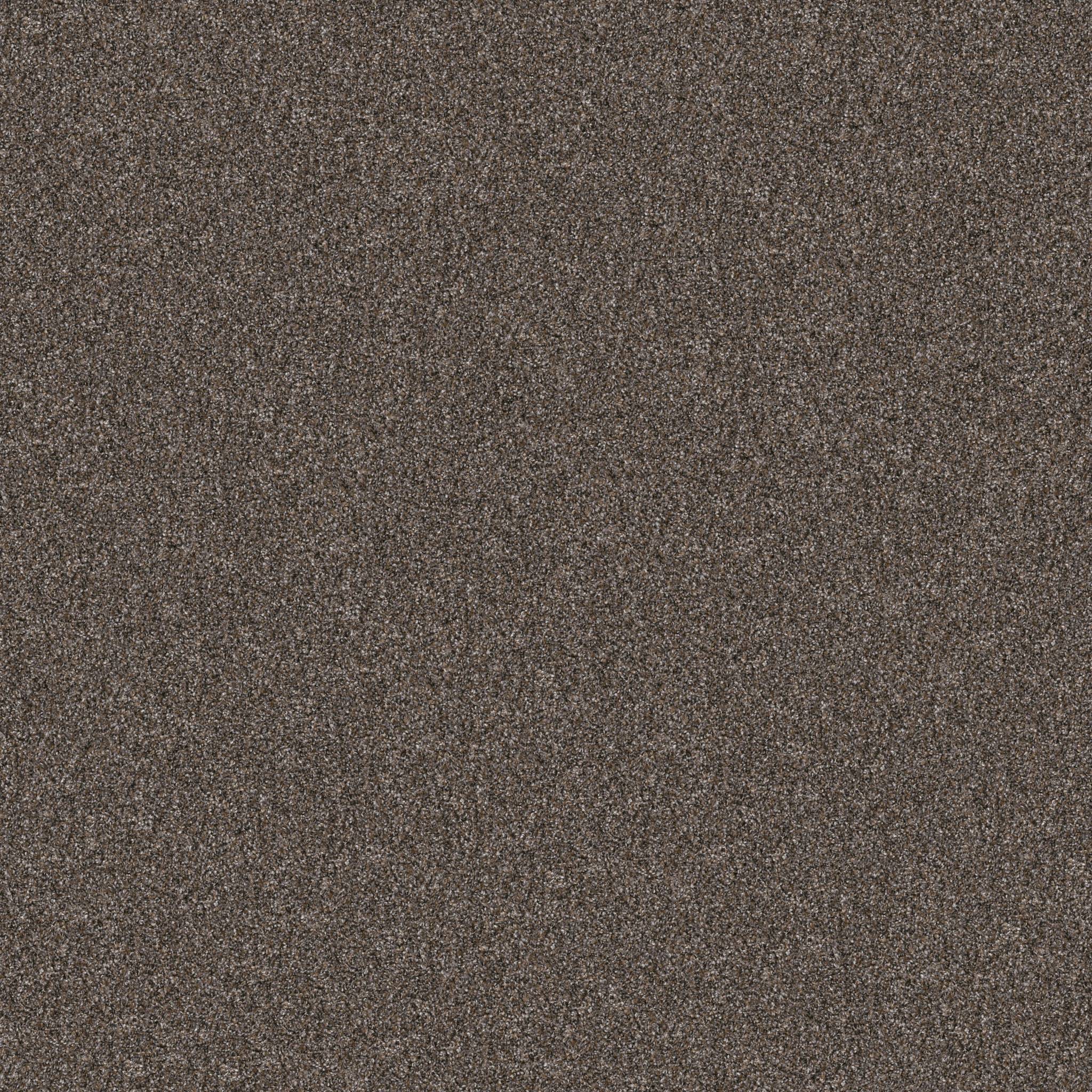 Affirmative III Carpet - Cafe Noir Zoomed Swatch Image