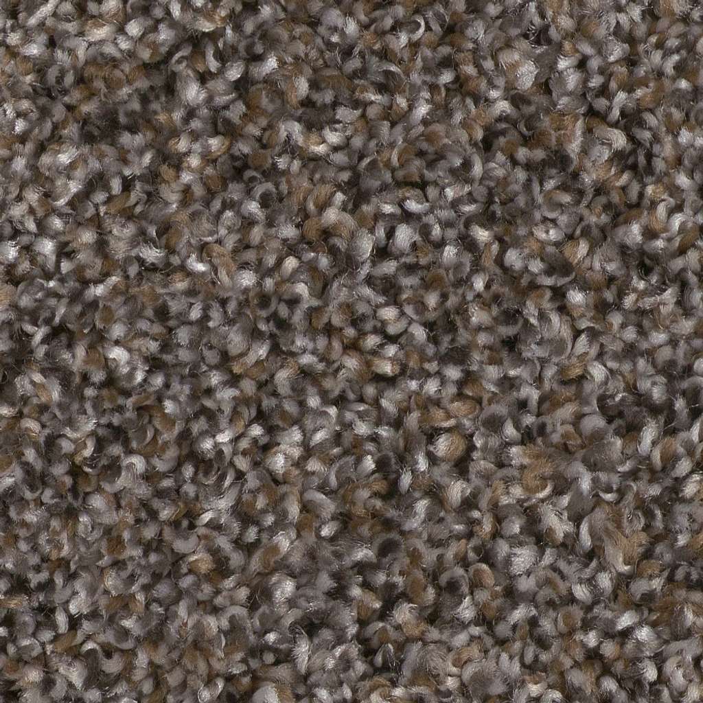 Affirmative III Carpet - Cafe Noir  Swatch Image 