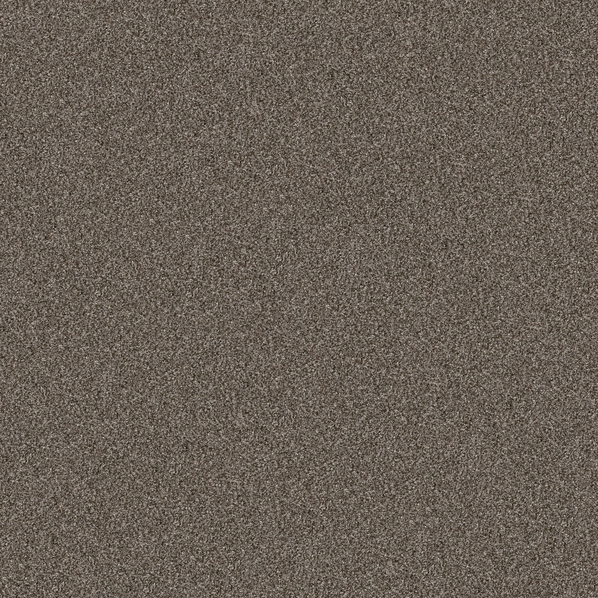 Affirmative III Carpet - Urban Rustic Zoomed Swatch Image