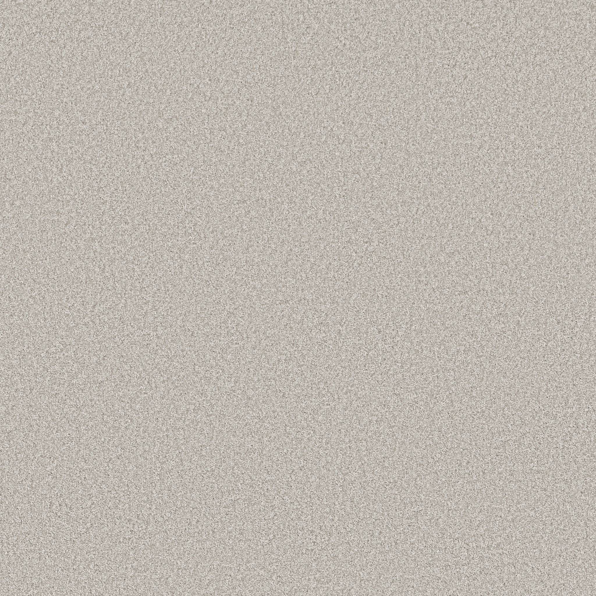 Take My Word I Carpet - Frozen Zoomed Swatch Image