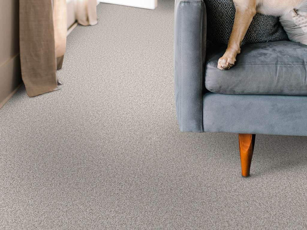 Take My Word I Carpet - Frozen Room Scene Image