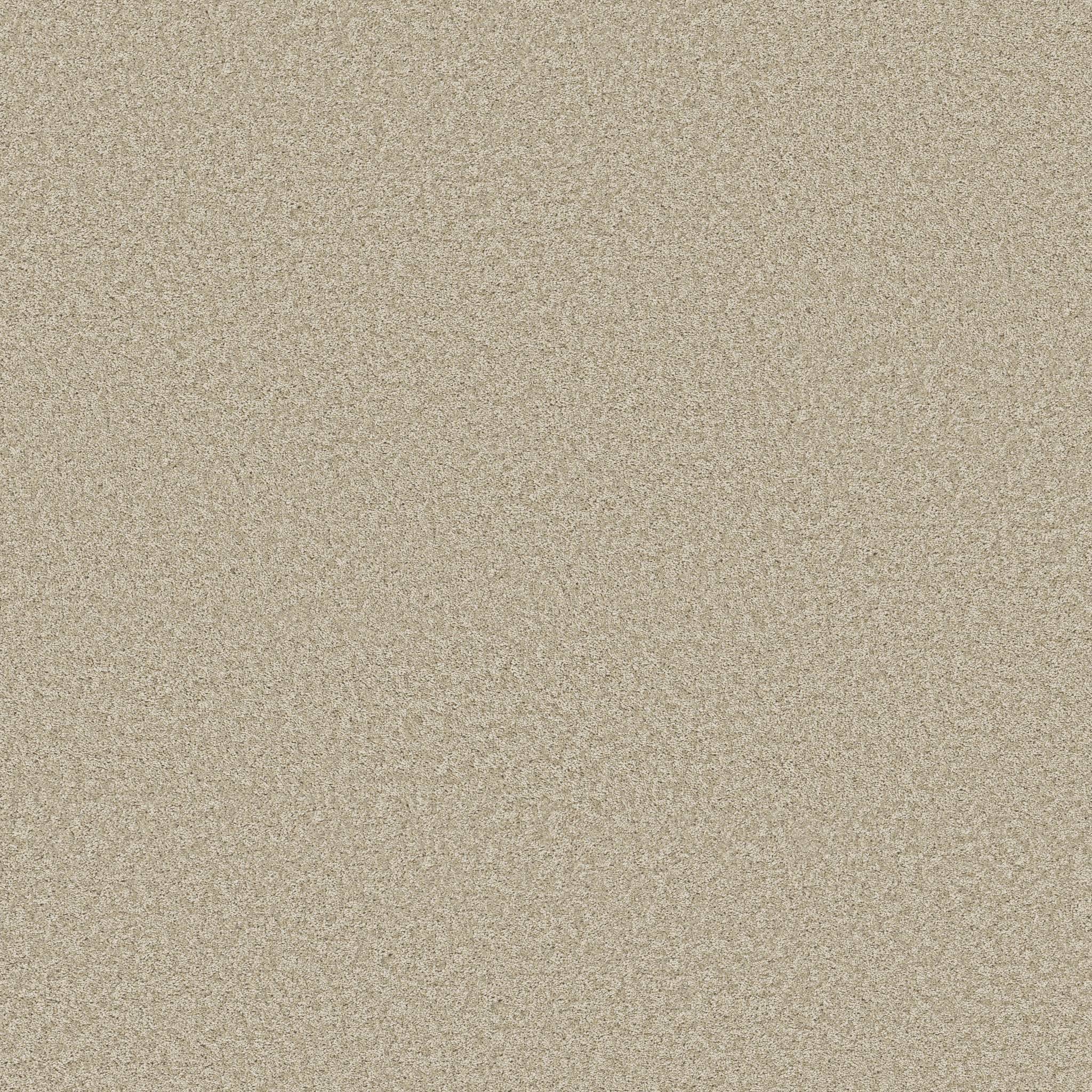 Take My Word I Carpet - Natural Zoomed Swatch Image