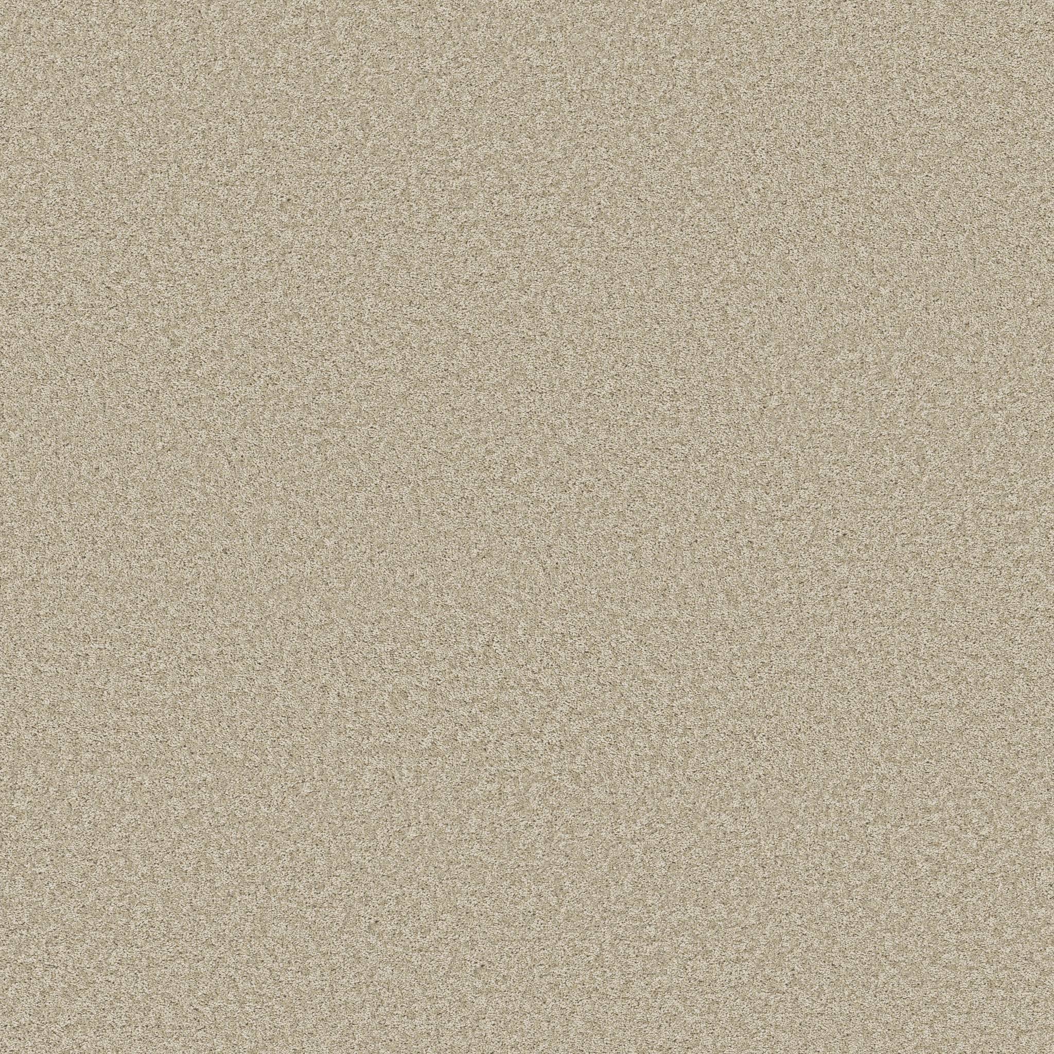 Take My Word I Carpet - Natural Zoomed Swatch Image