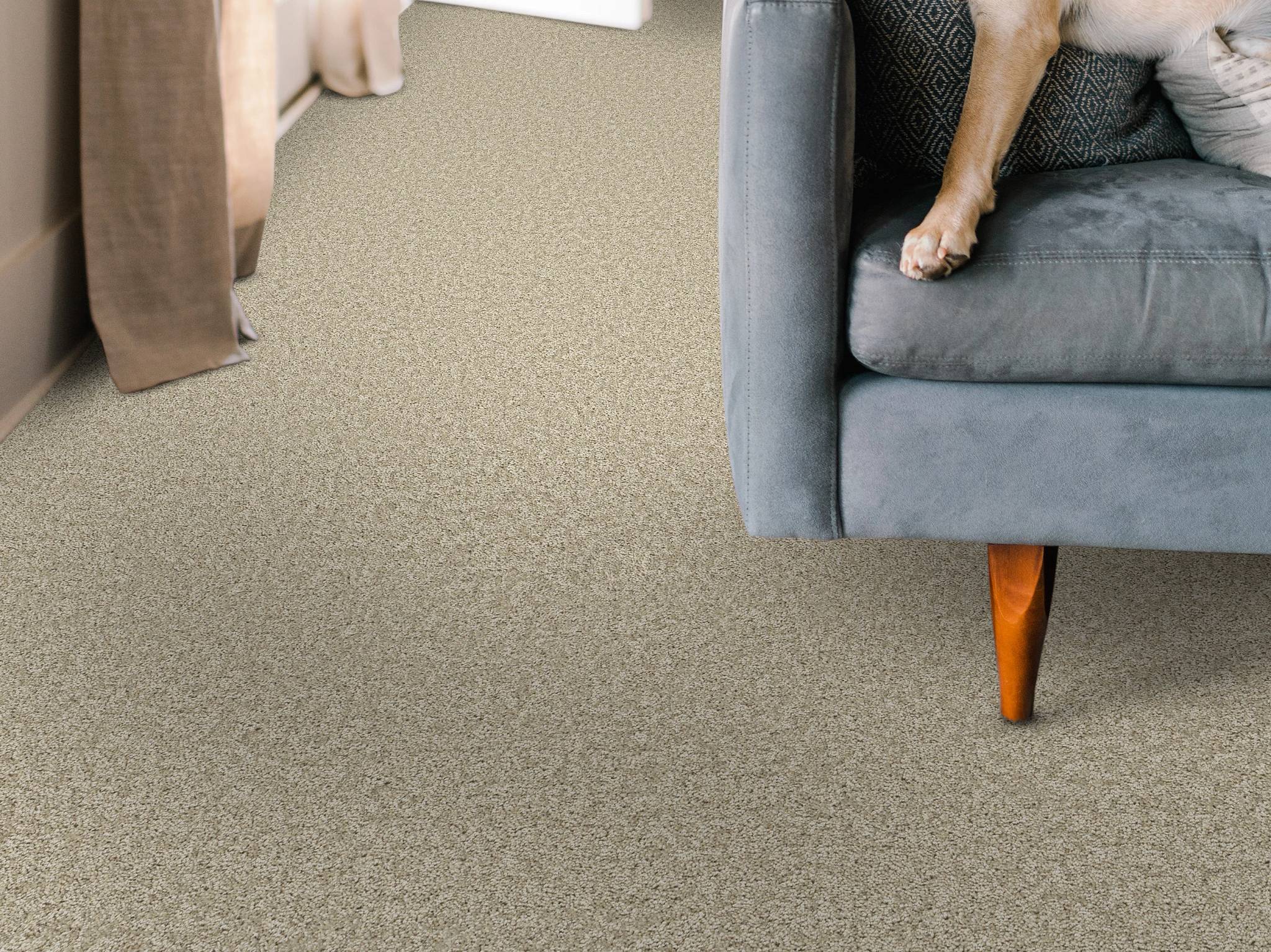 Style - Take My Word I,  Color - NATURAL - Room Scene