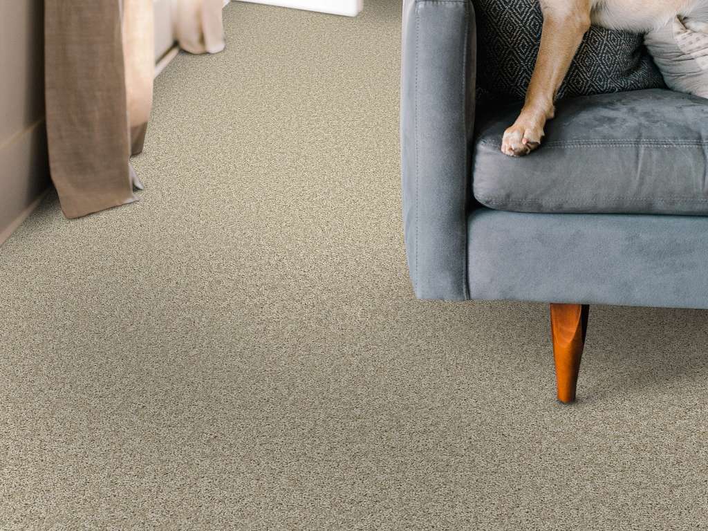 Take My Word I Carpet - Natural Room Scene Image