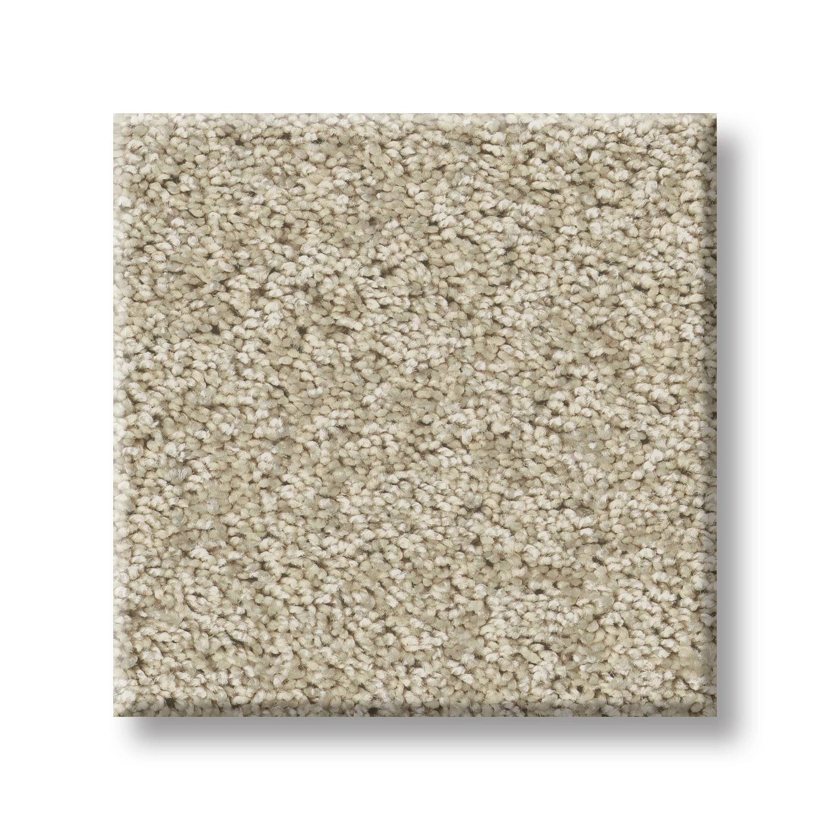 Take My Word I Carpet - Natural Swatch Thumbnail pupop1