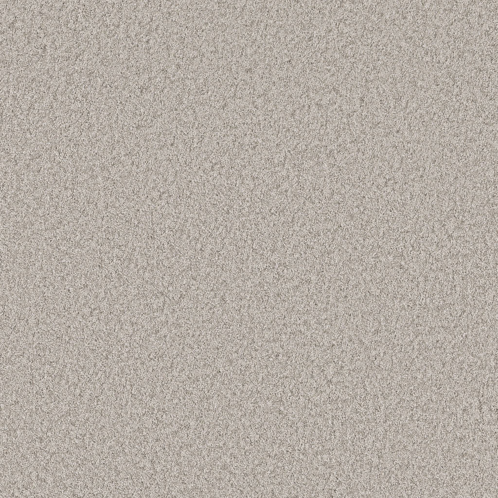 Take My Word I Carpet - Chic Greige Zoomed Swatch Image