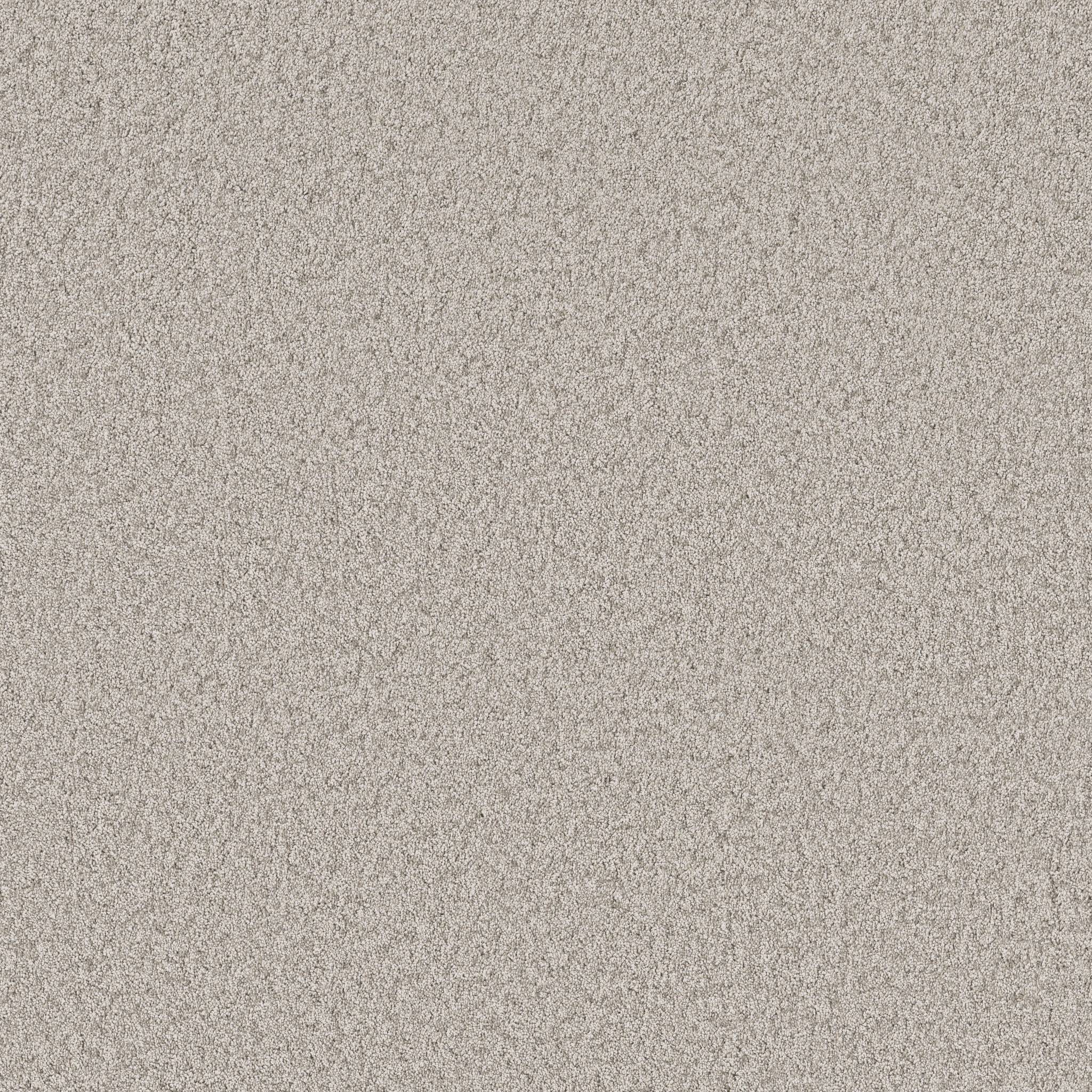 Take My Word I Carpet - Chic Greige Zoomed Swatch Image