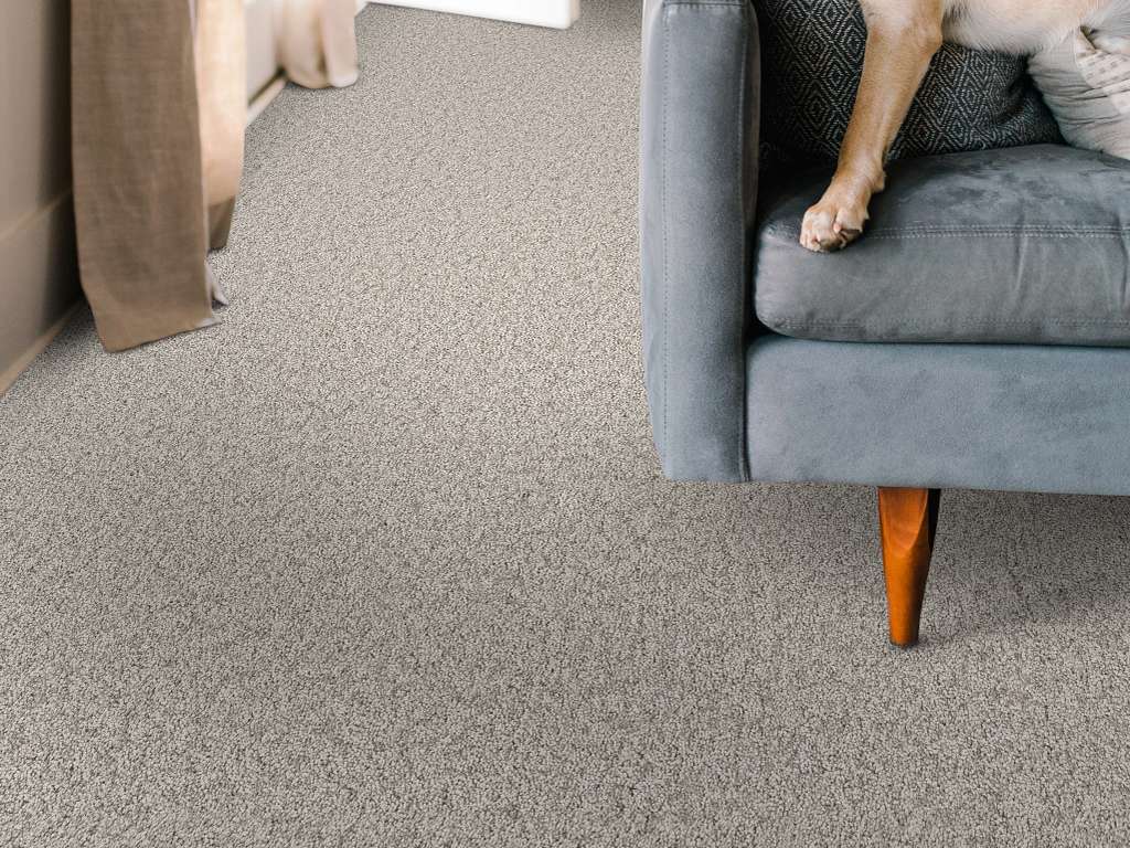 Take My Word I Carpet - Chic Greige Room Scene Image