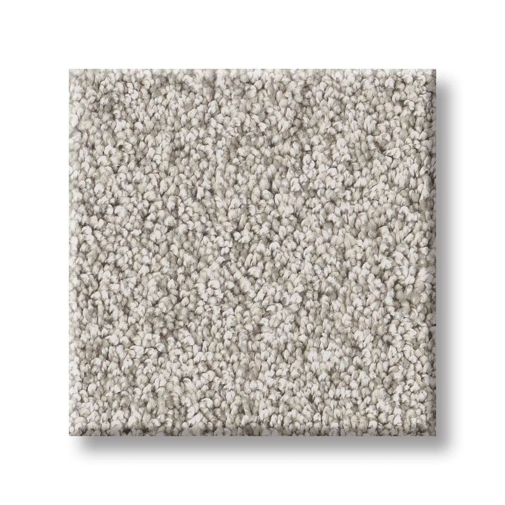 Take My Word I Carpet - Chic Greige  Swatch Image 