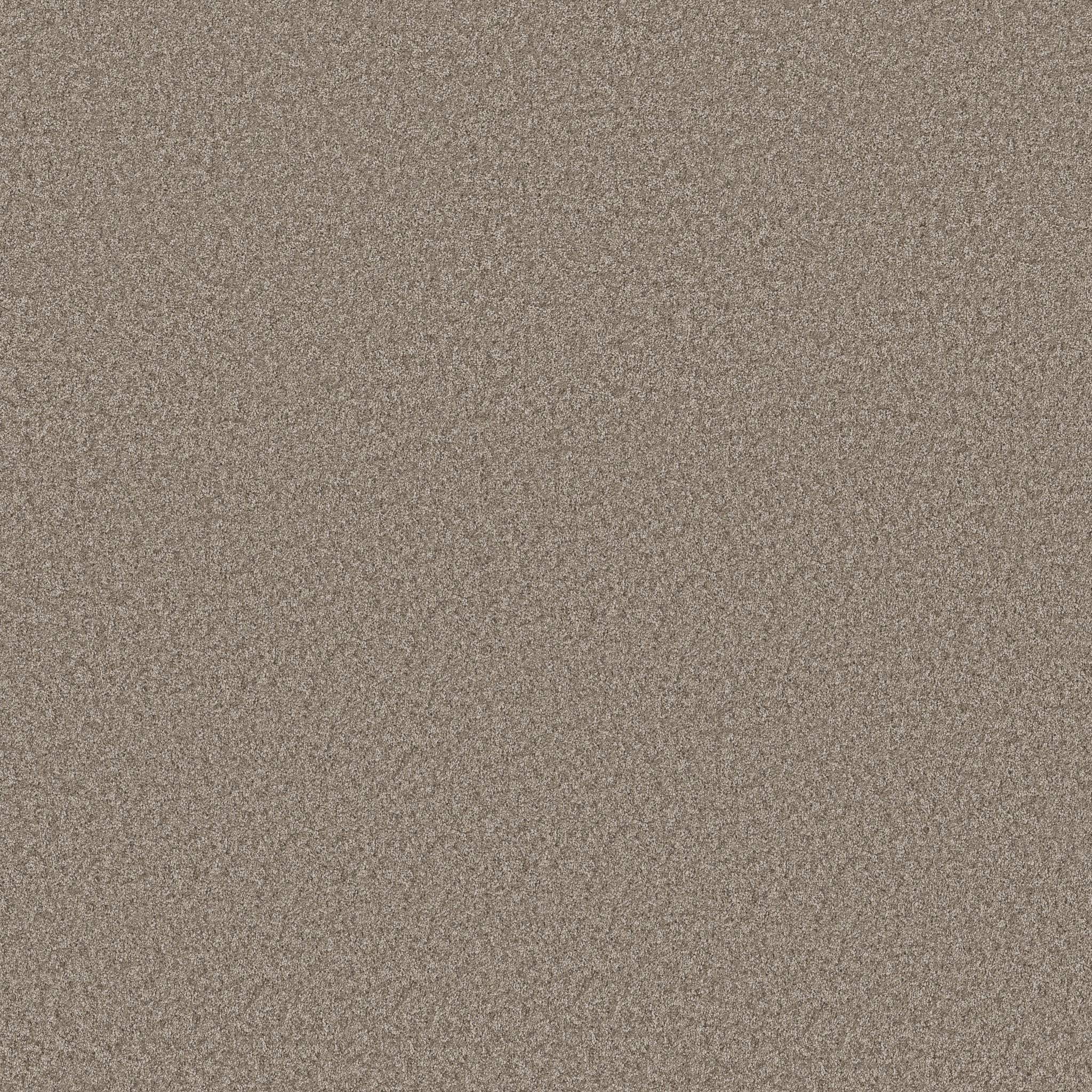 Take My Word I Carpet - Cameo Zoomed Swatch Image