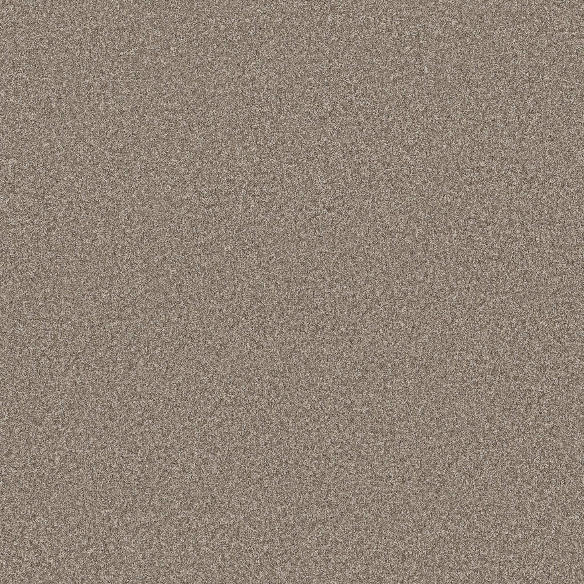 Take My Word I Carpet - Cameo Zoomed Swatch Image