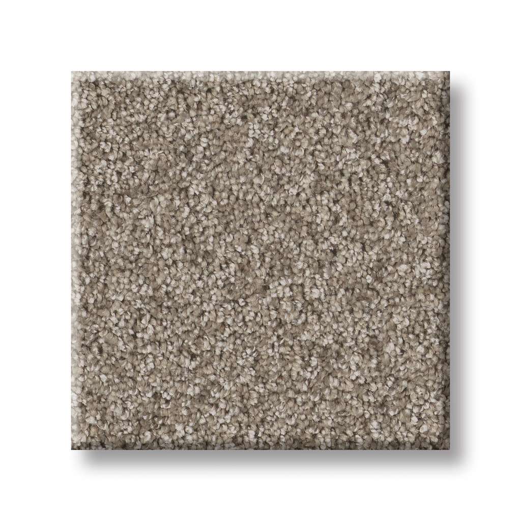 Take My Word I Carpet - Cameo  Swatch Image 